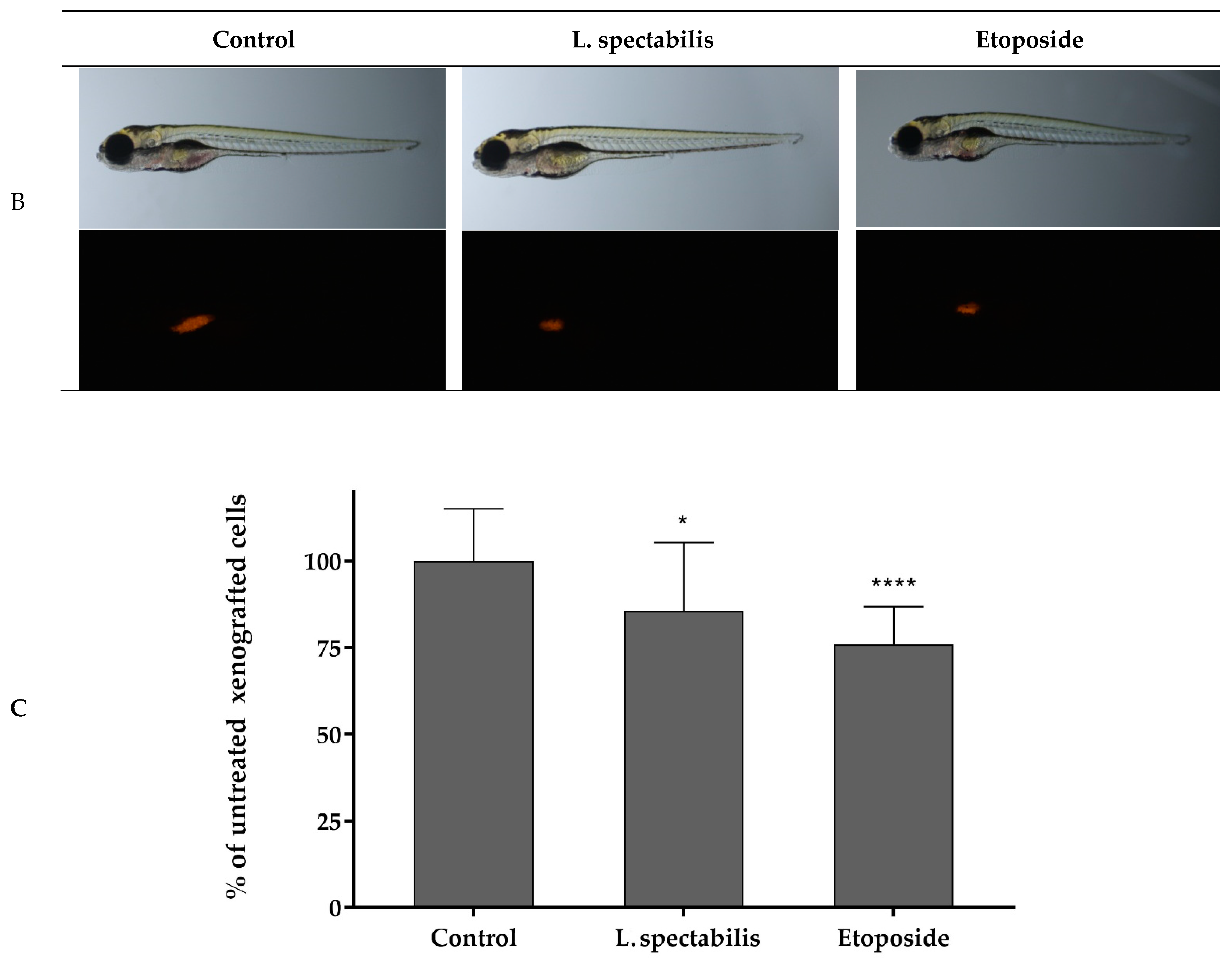 Molecules 28 03503 g005b