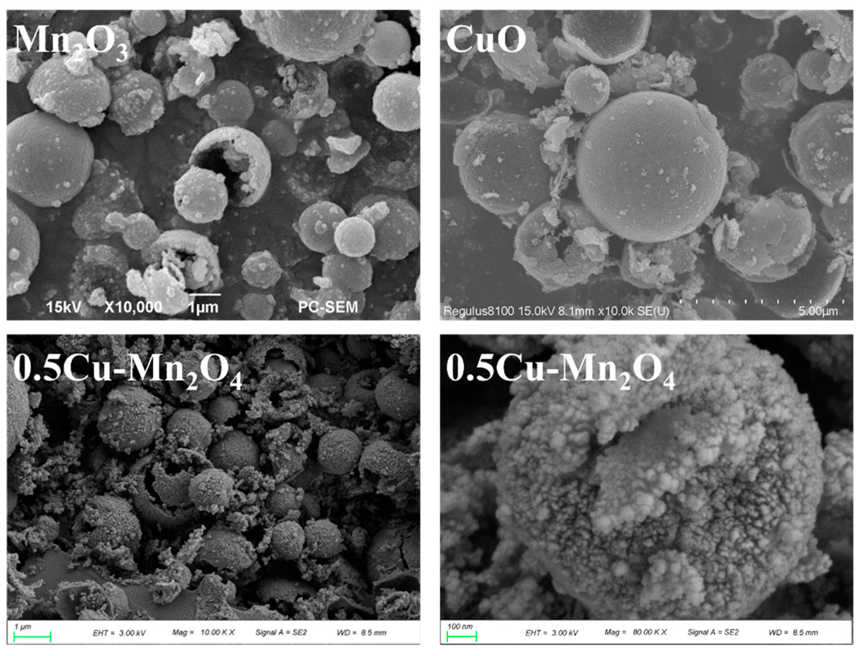 Molecules 28 03511 g004 Molecules 28 03511 g004