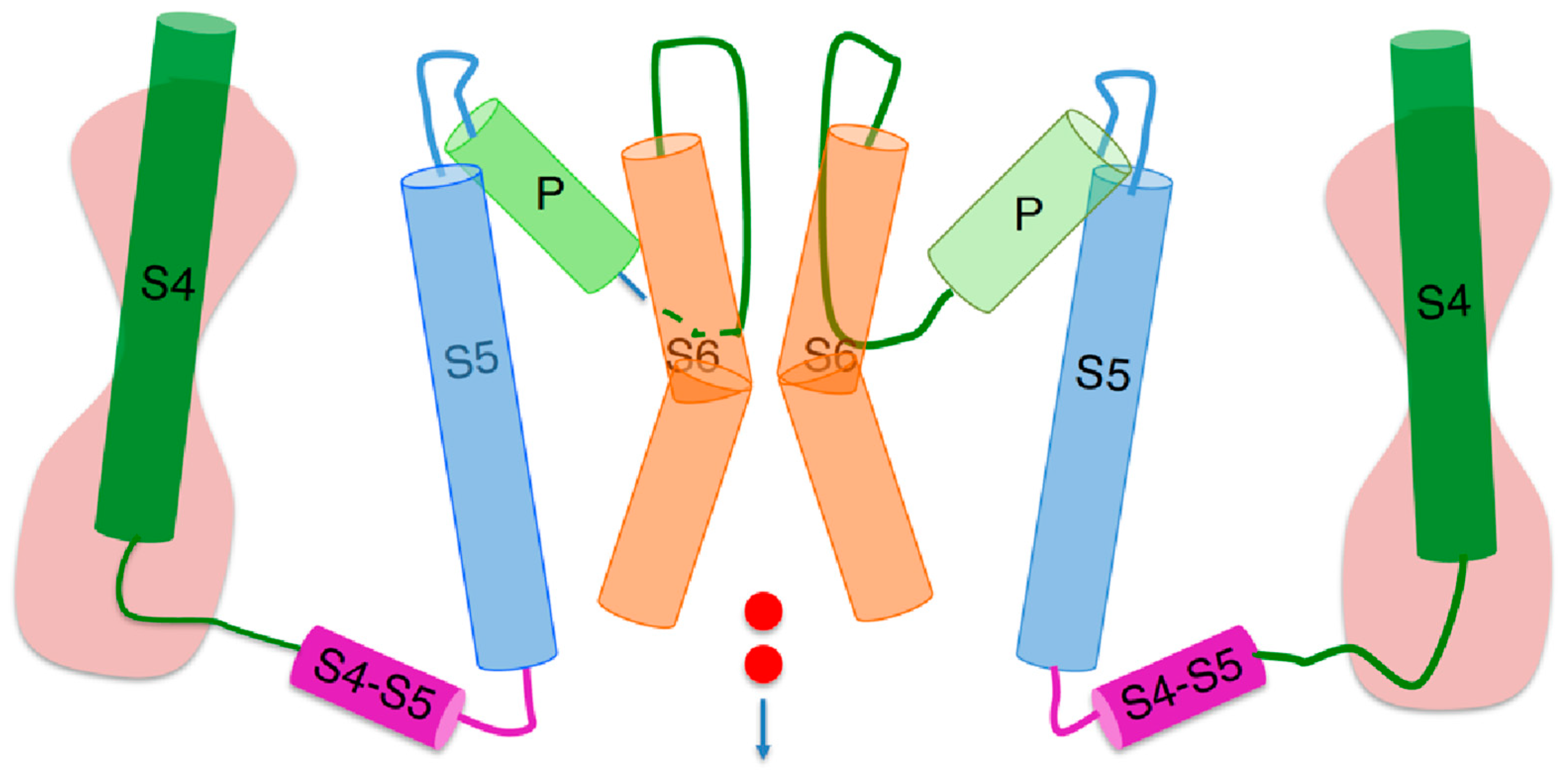 Molecules 28 03514 g001