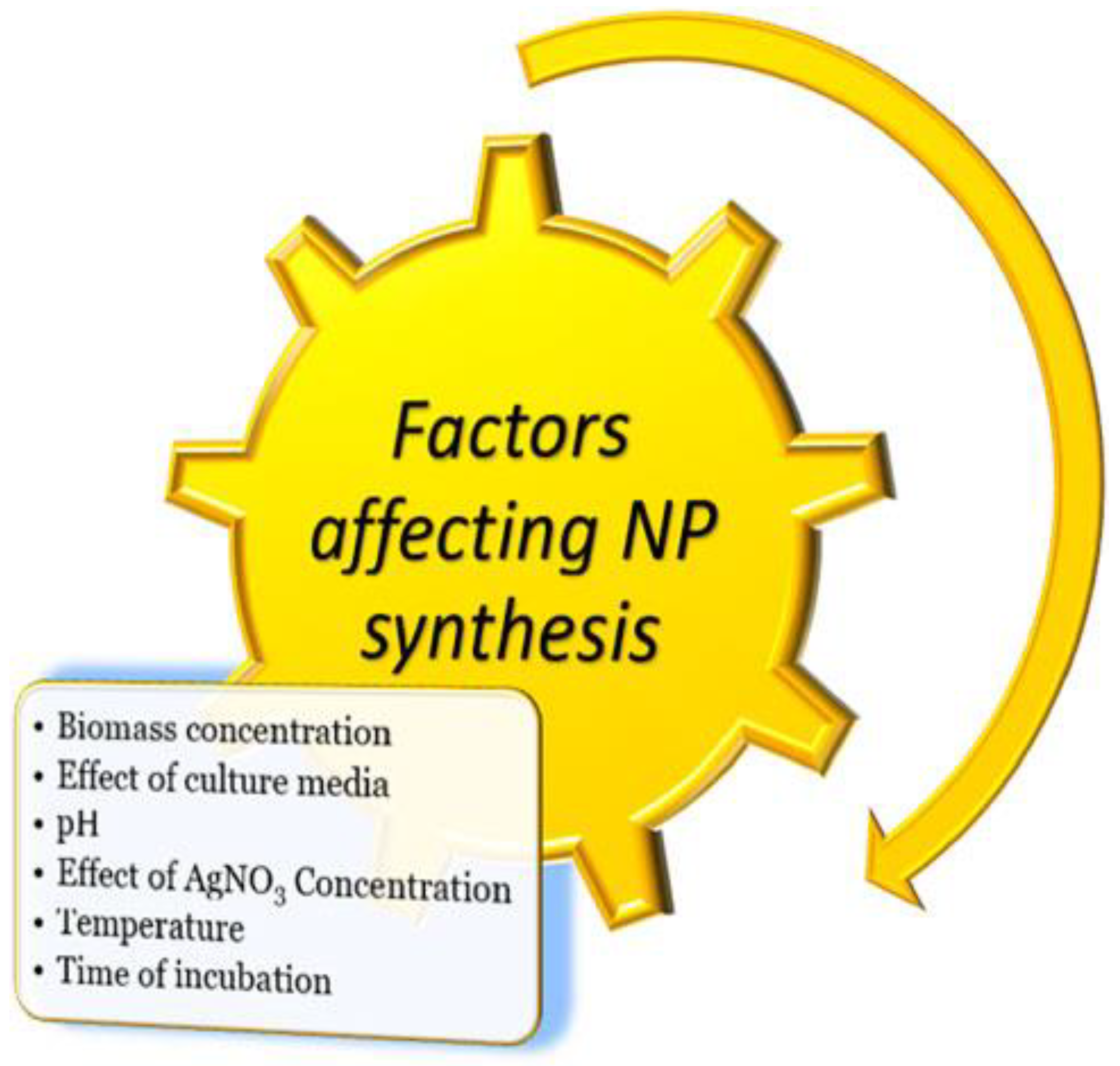 Molecules 28 03520 g001