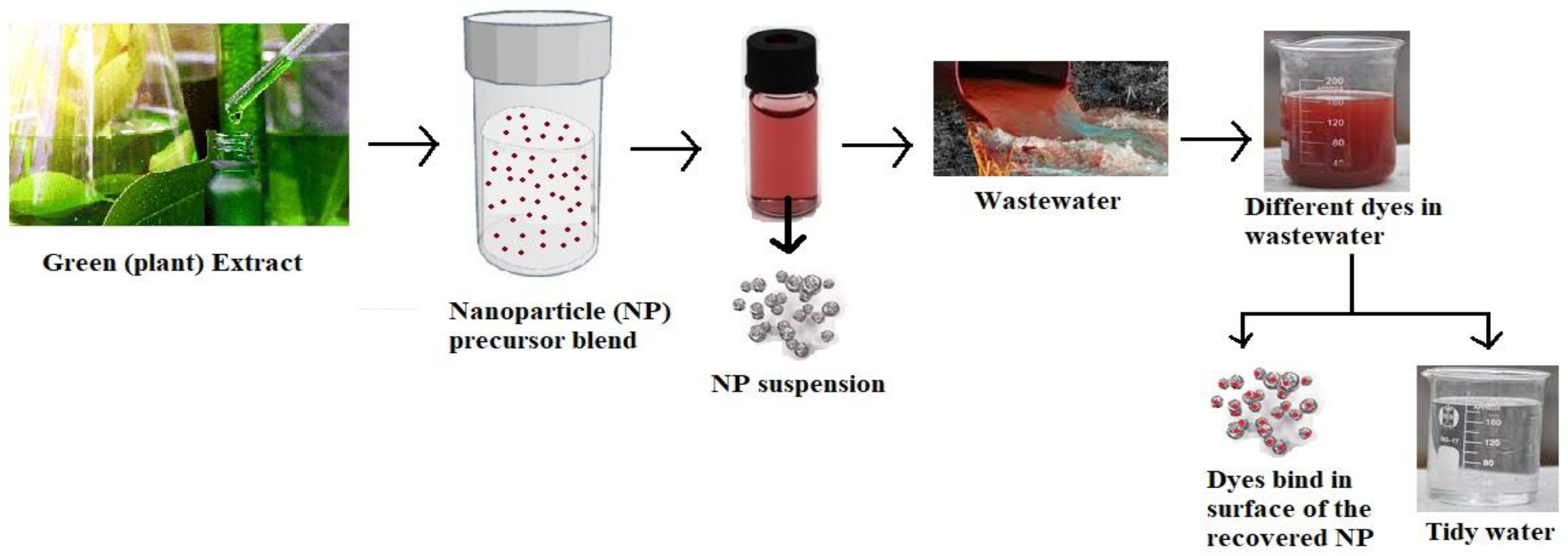 Molecules 28 03520 g003