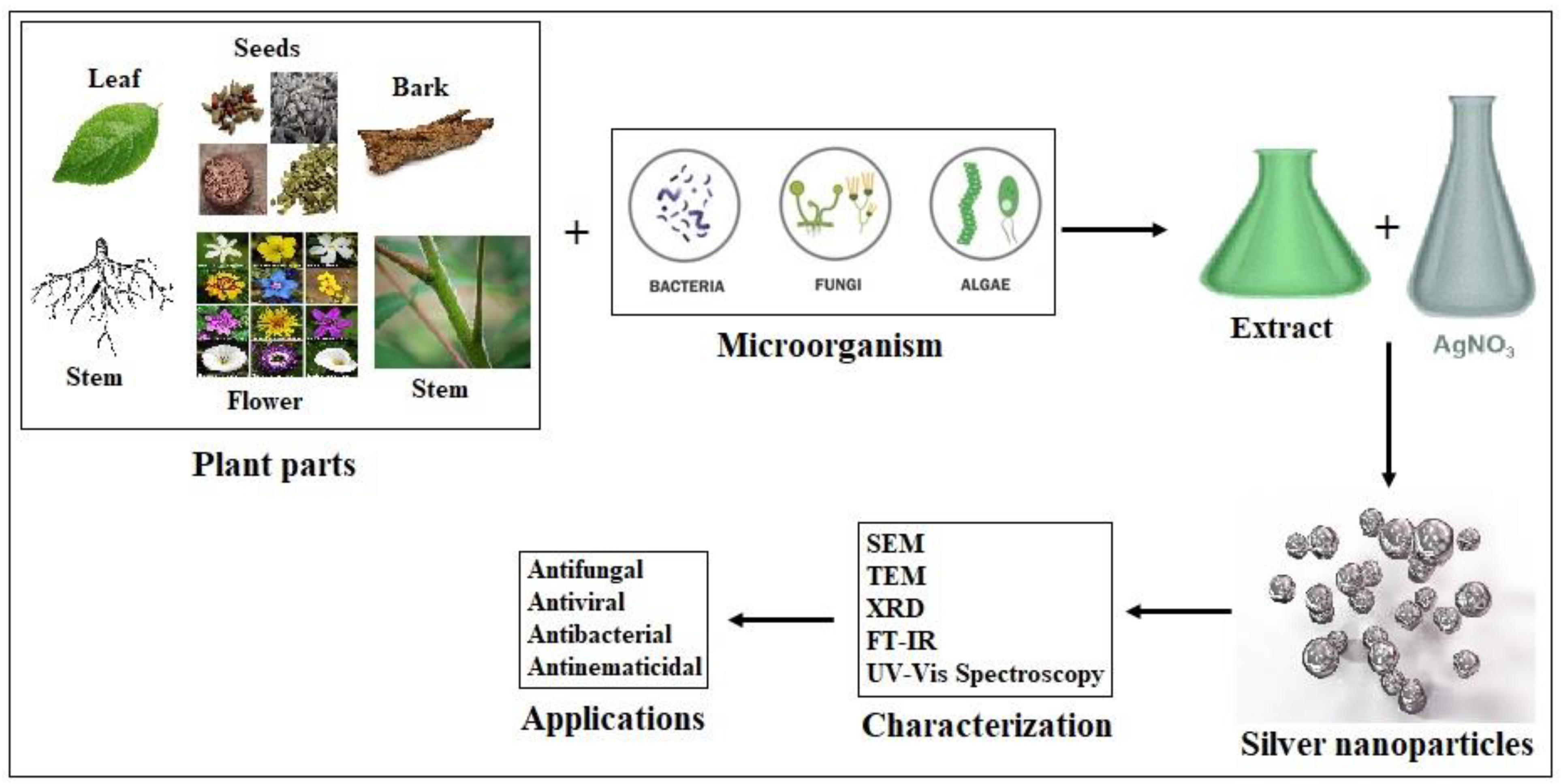 Molecules 28 03520 g007