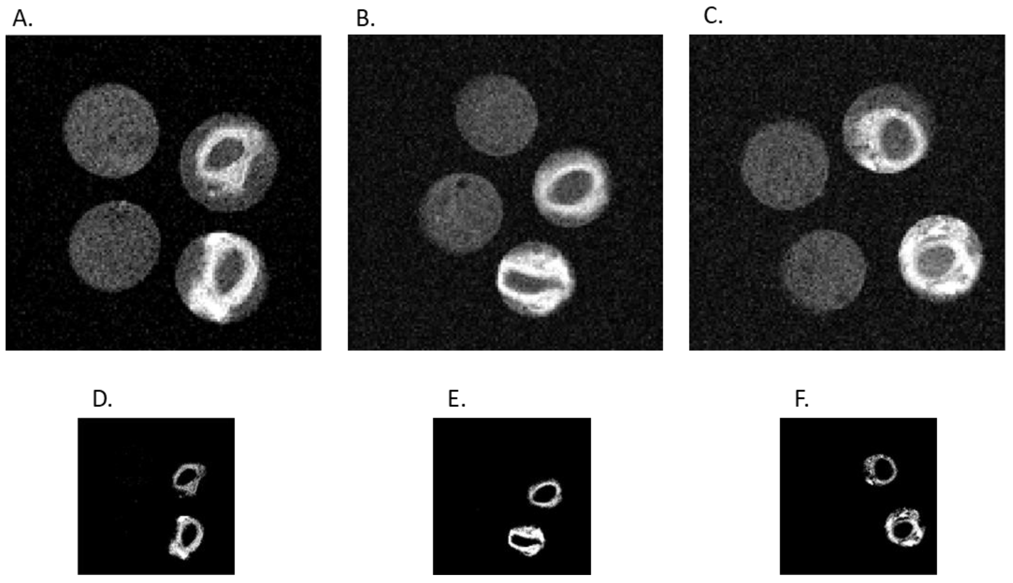 Molecules 28 03538 g007