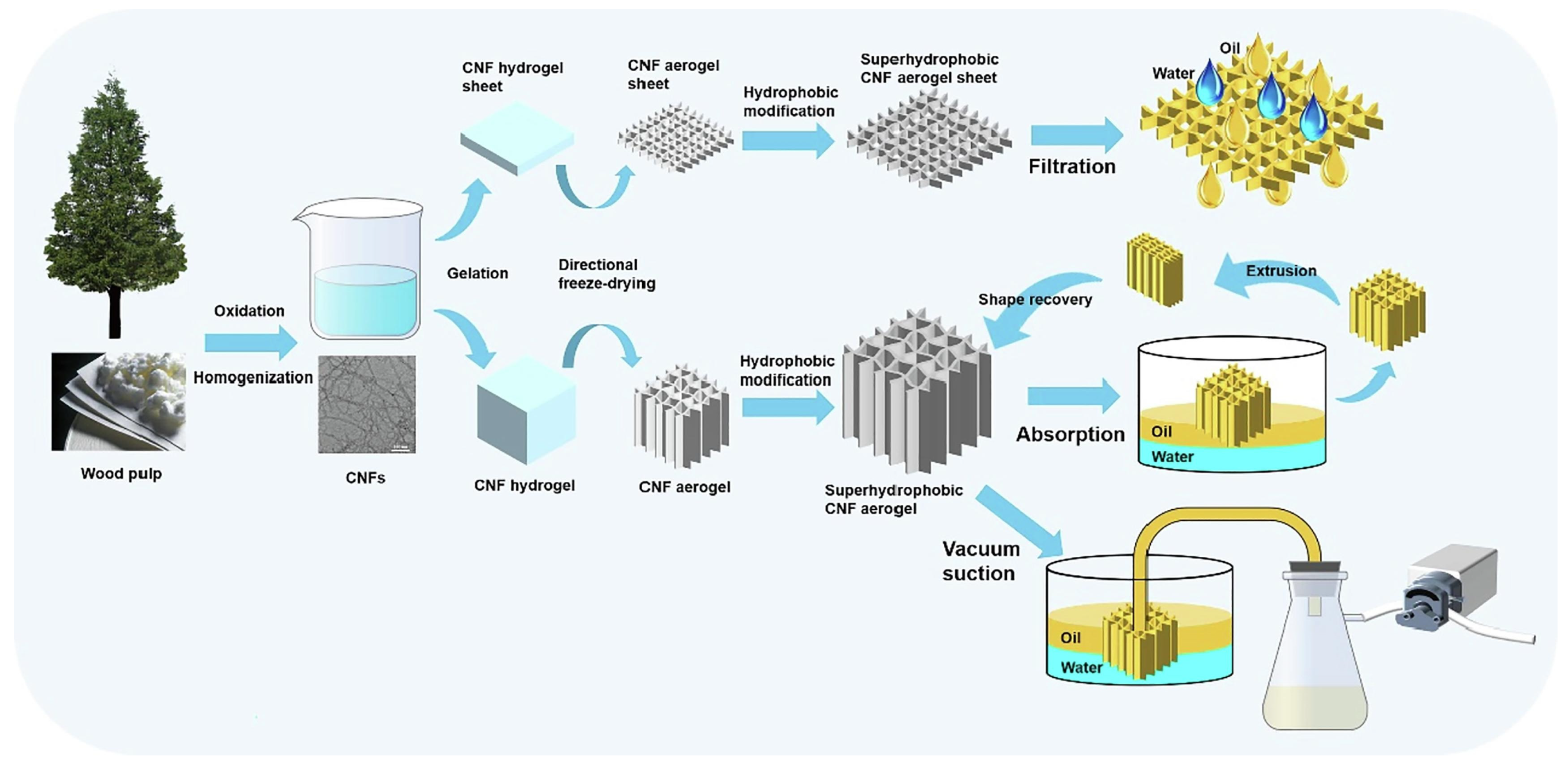 Molecules 28 03541 g009 Molecules 28 03541 g009