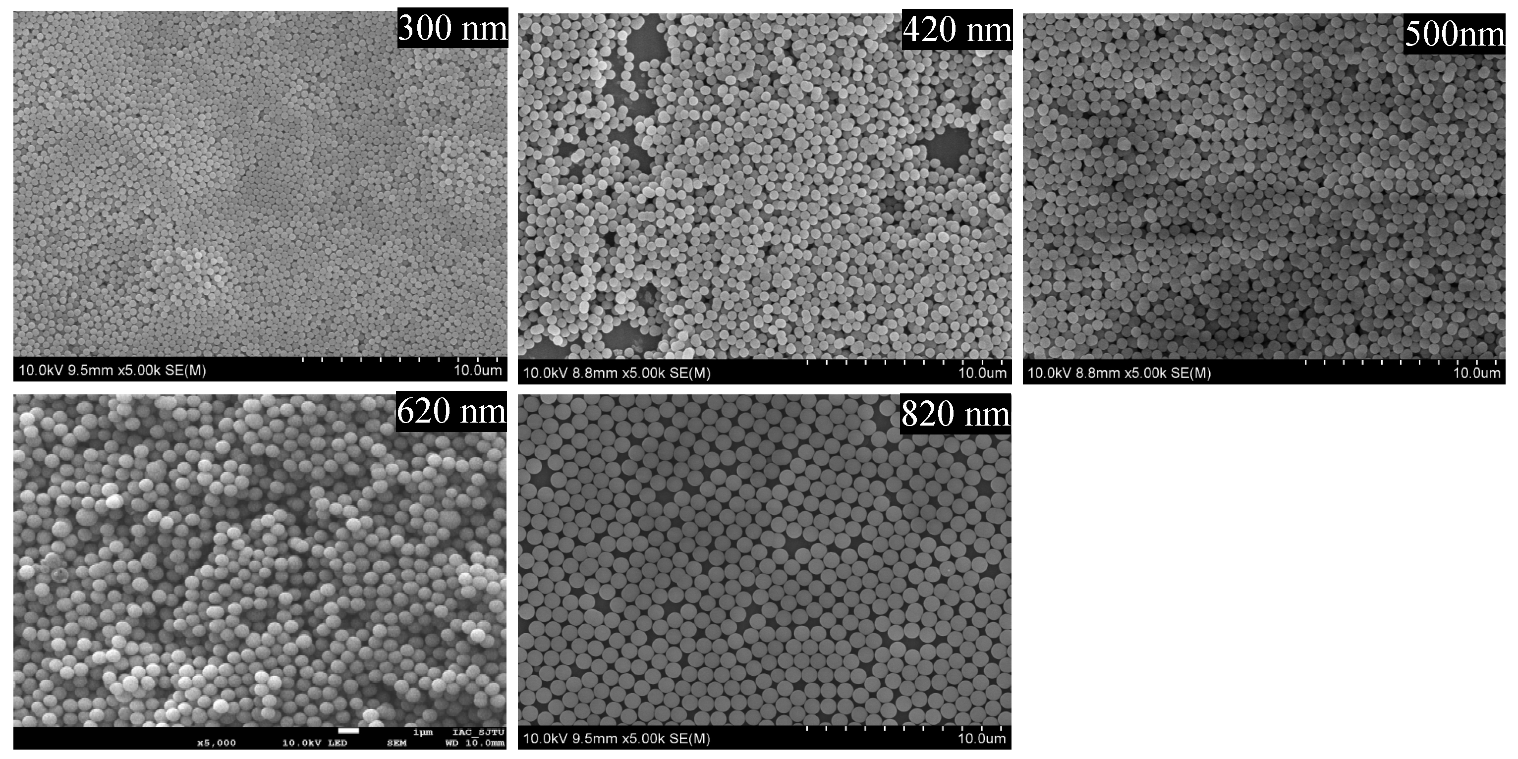 Molecules 28 03542 g001