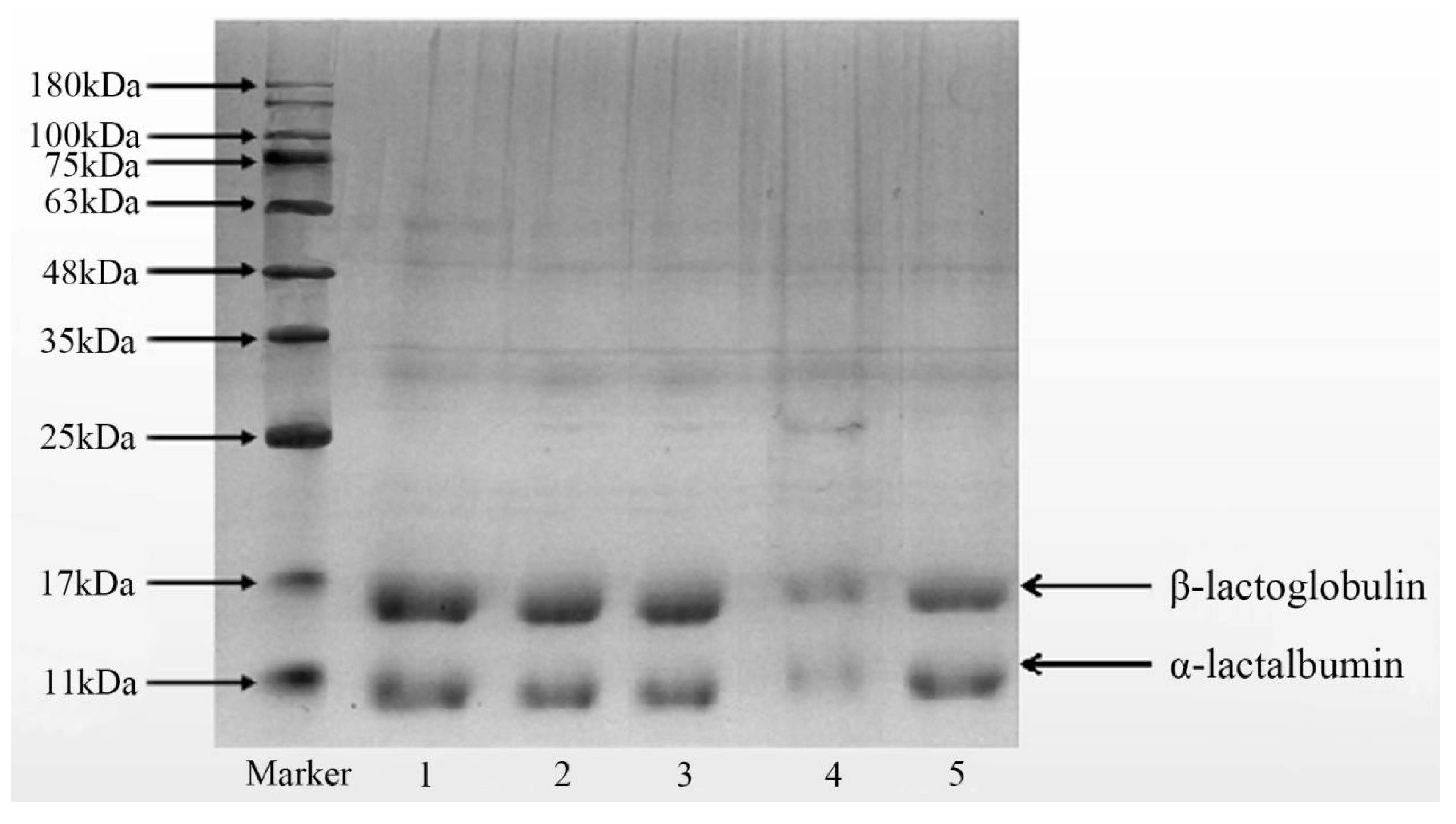Molecules 28 03543 g0a3 Molecules 28 03543 g0a3