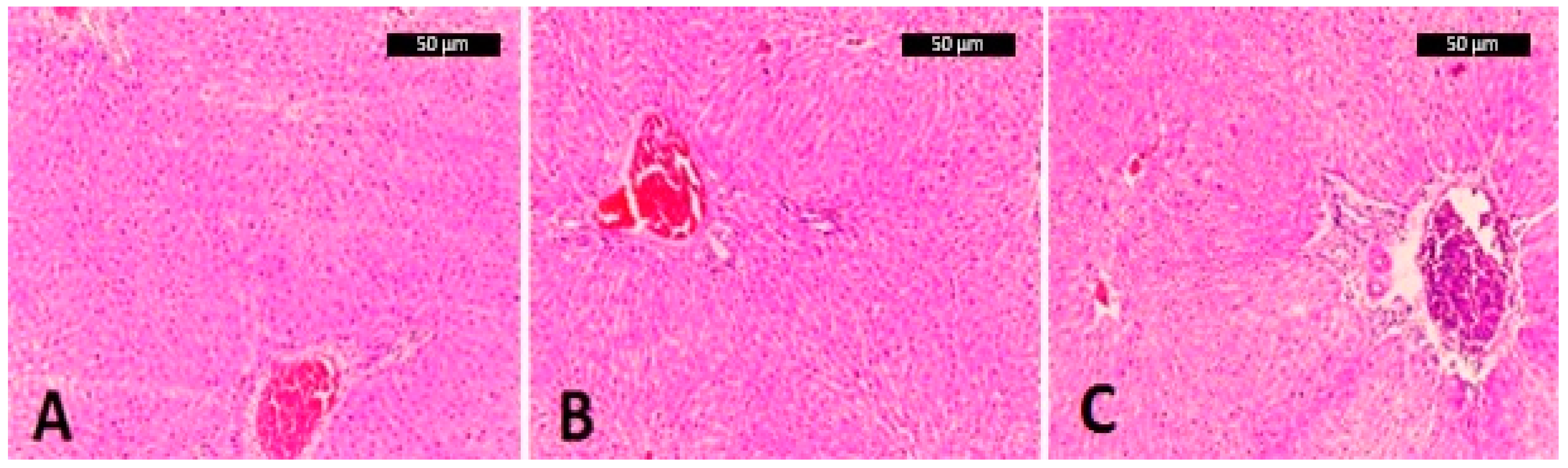 Molecules 28 03551 g004