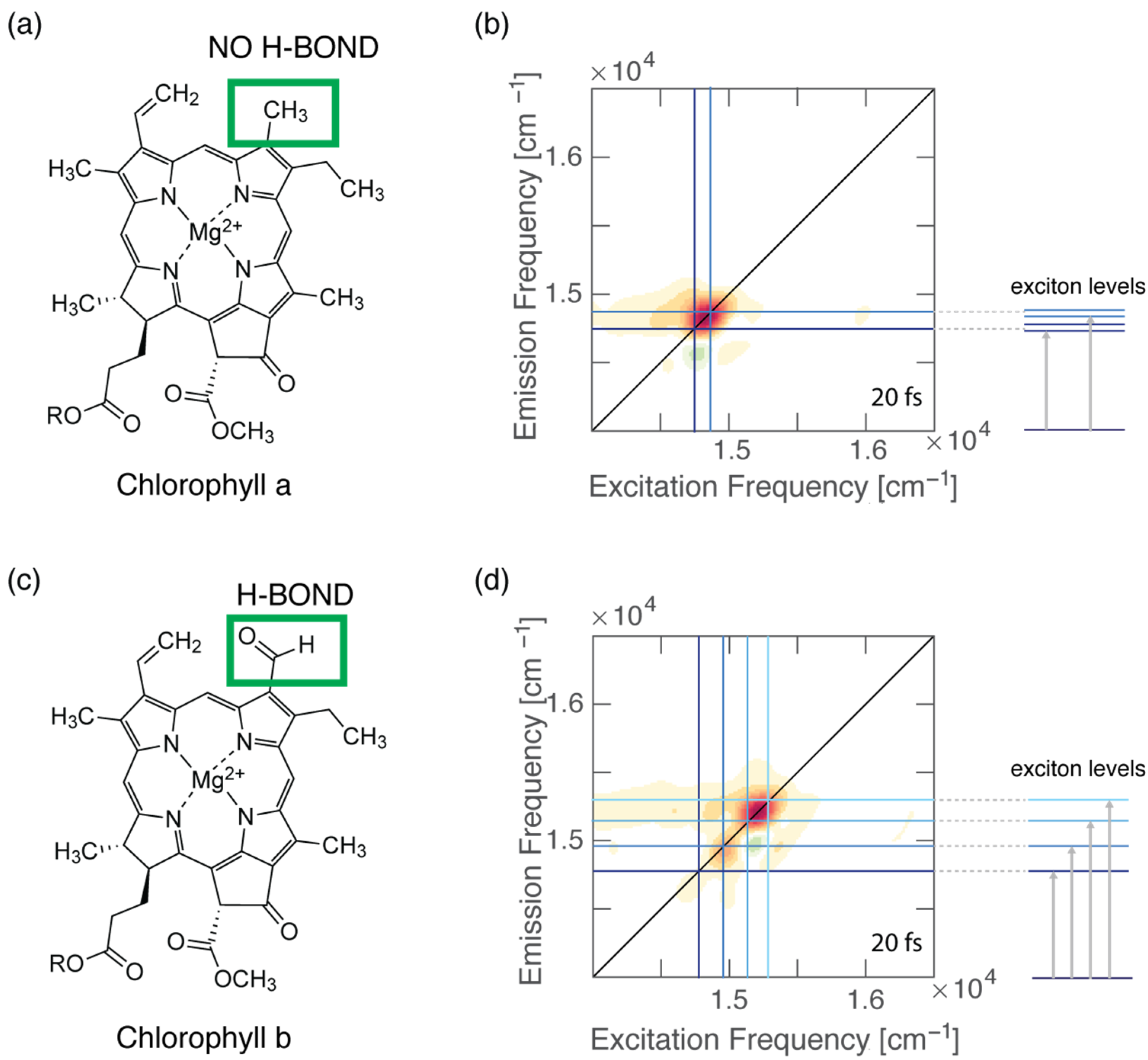 Molecules 28 03553 g003 Molecules 28 03553 g003