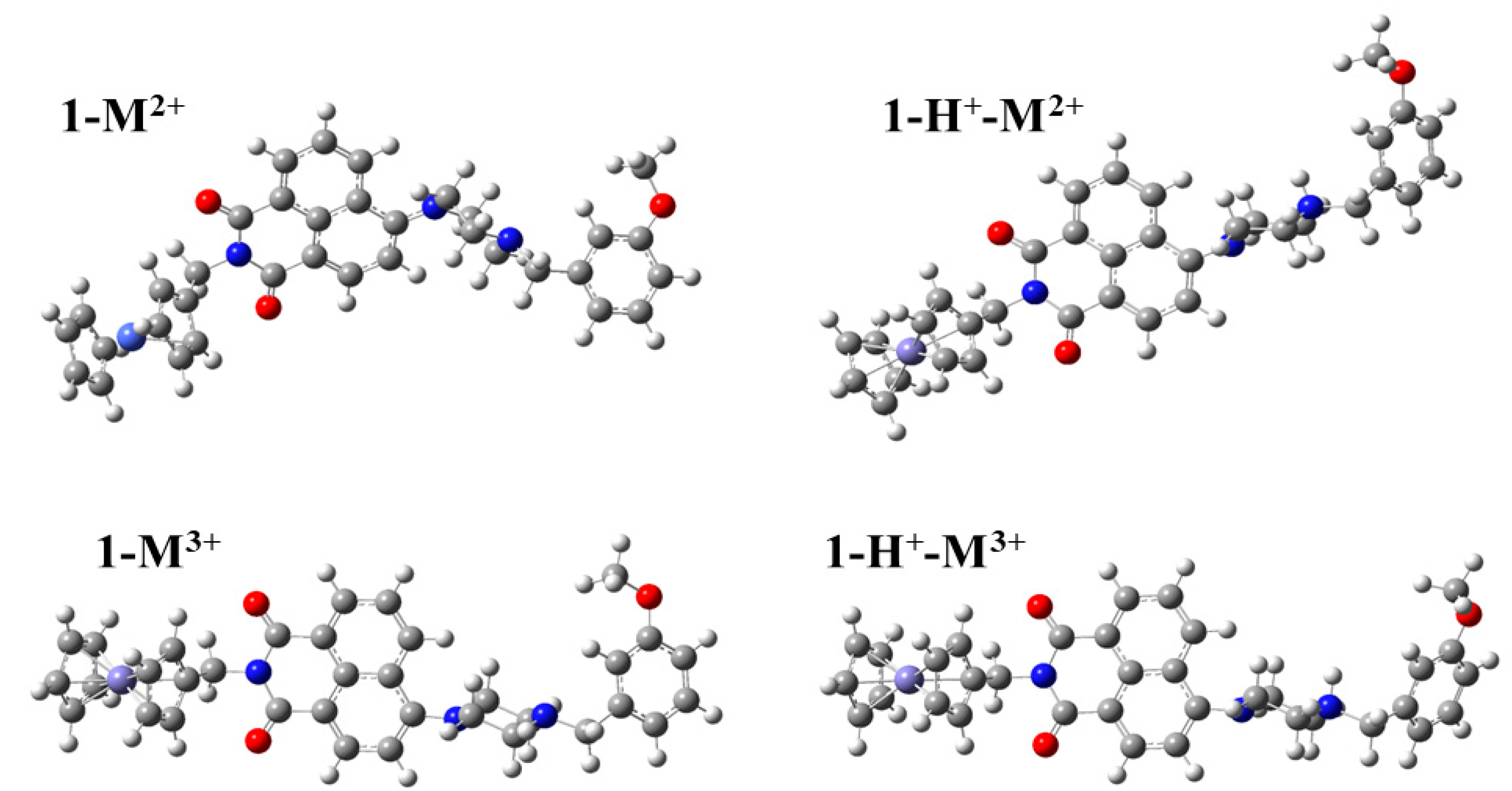 Metallocene-Naphthalimide Derivatives: The Effect of Geometry, DFT 