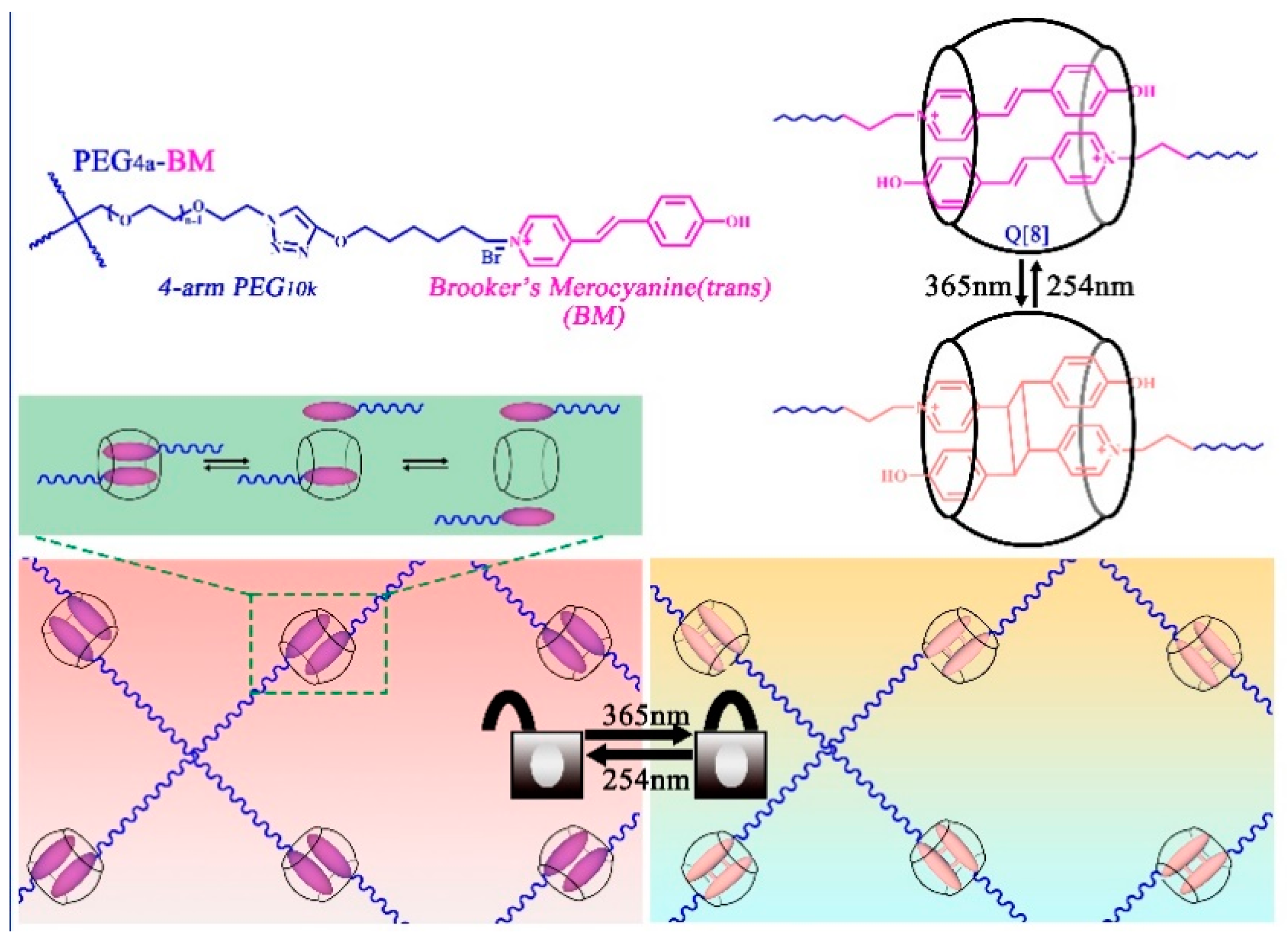 Molecules 28 03566 g003