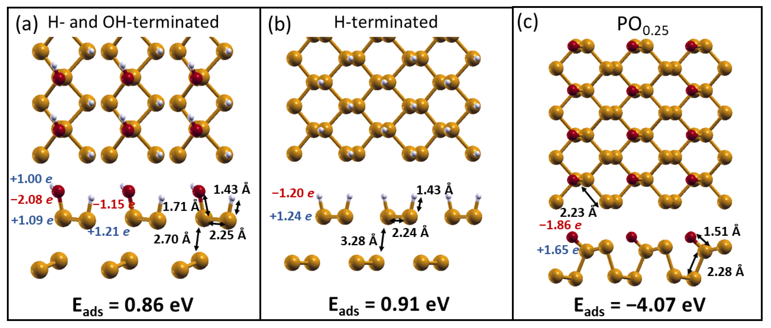 Molecules 28 03570 g002 Molecules 28 03570 g002