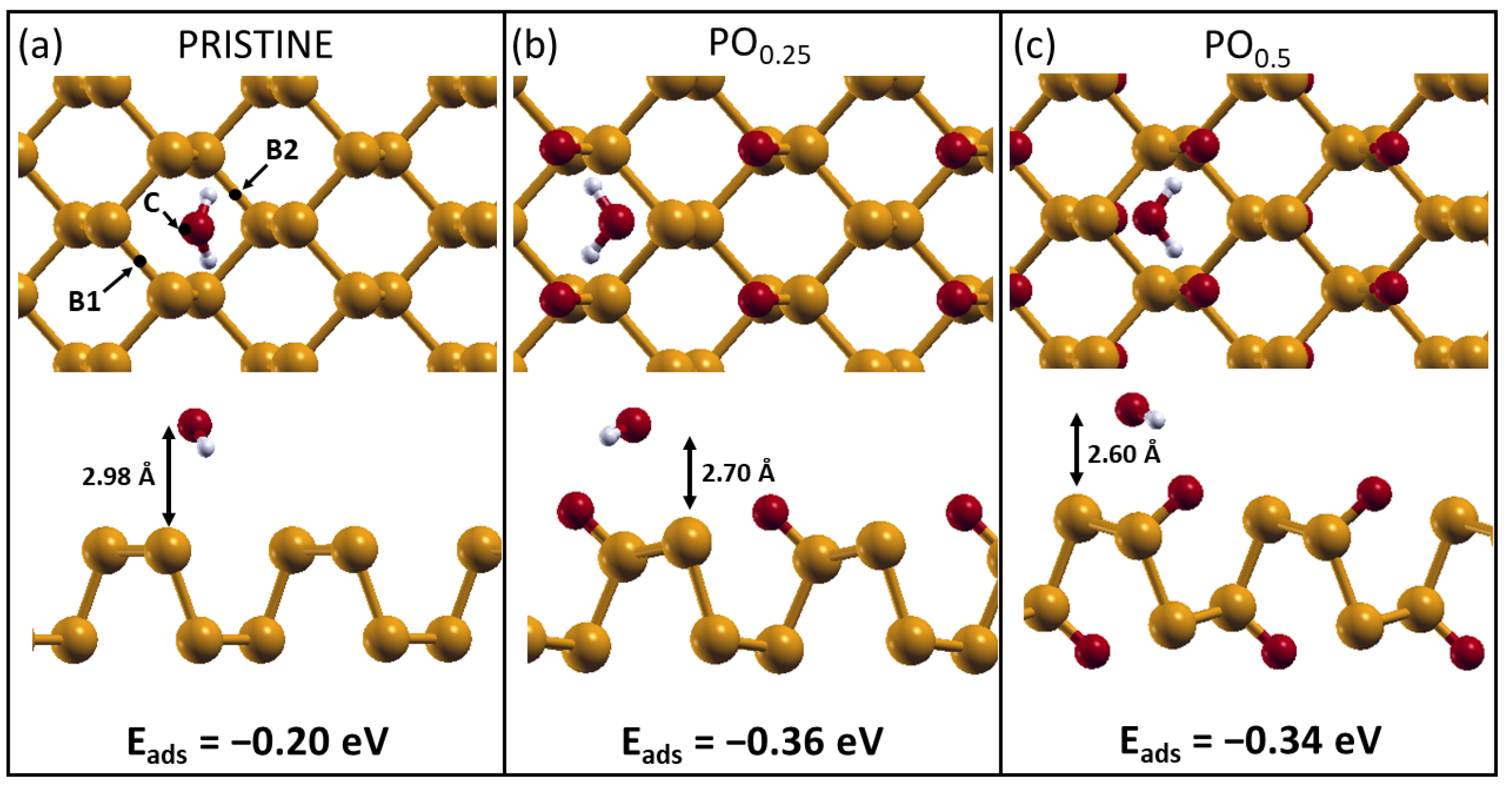 Molecules 28 03570 g003 Molecules 28 03570 g003