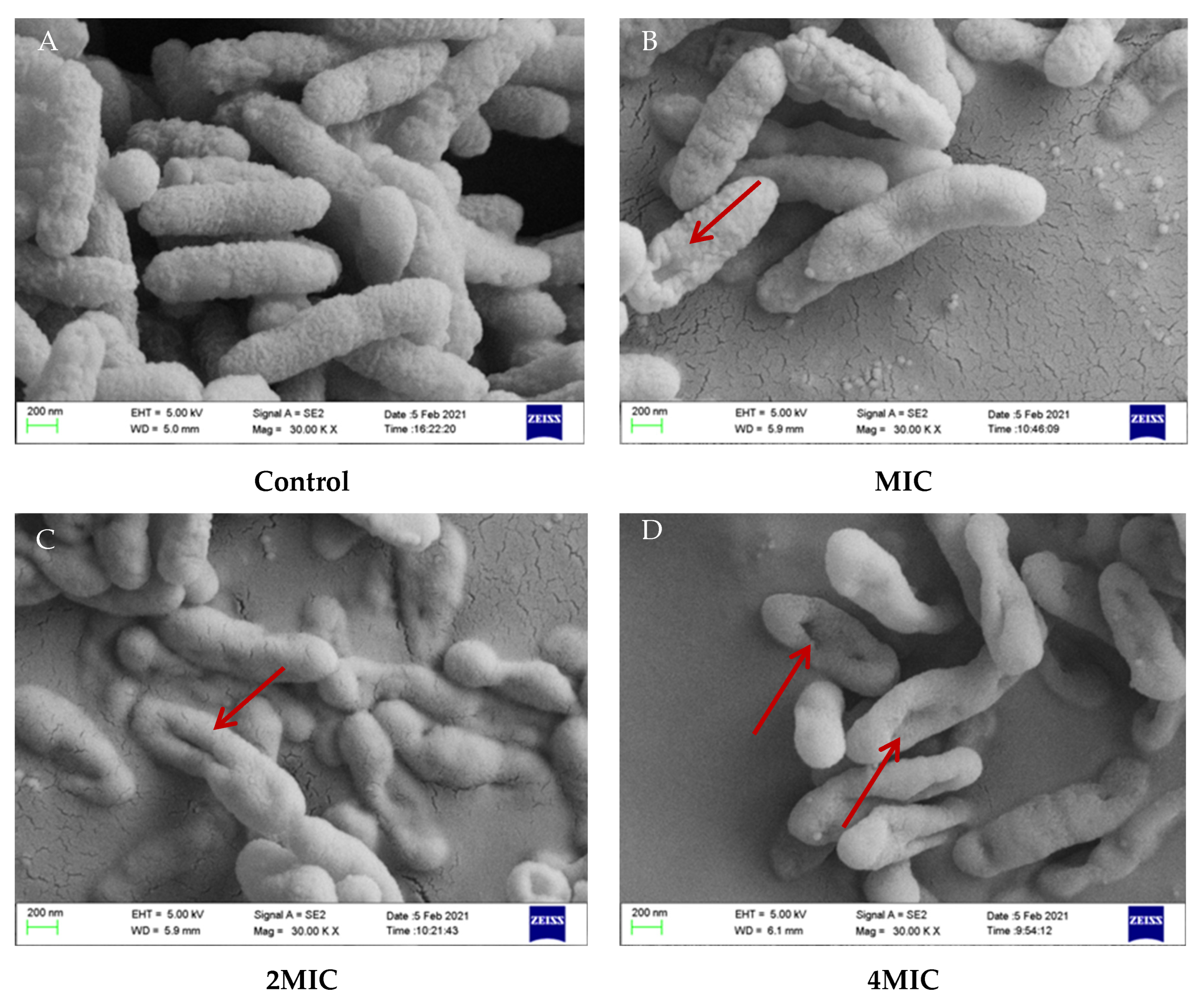 Molecules 28 03572 g005