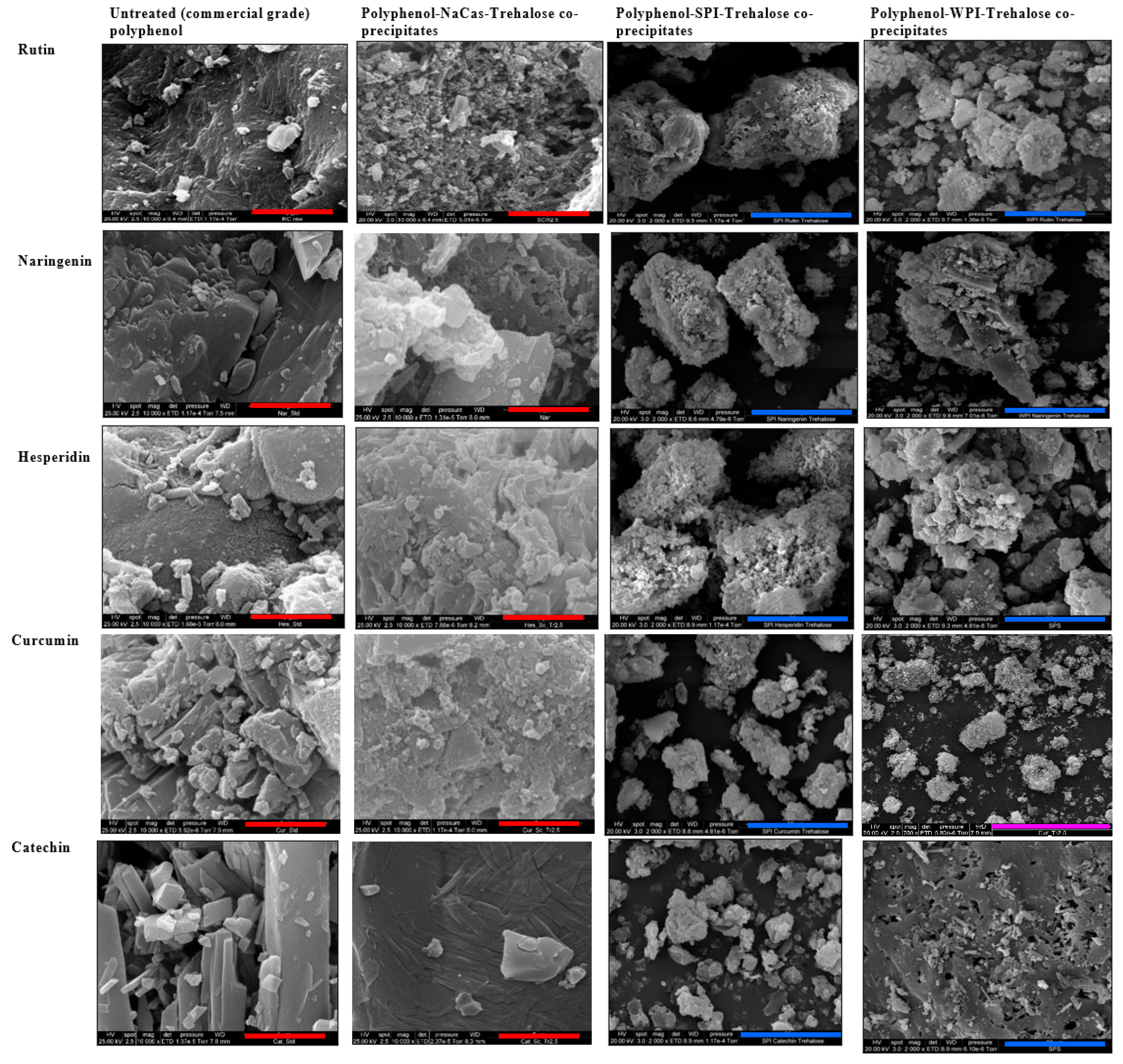 Molecules 28 03573 g002 Molecules 28 03573 g002