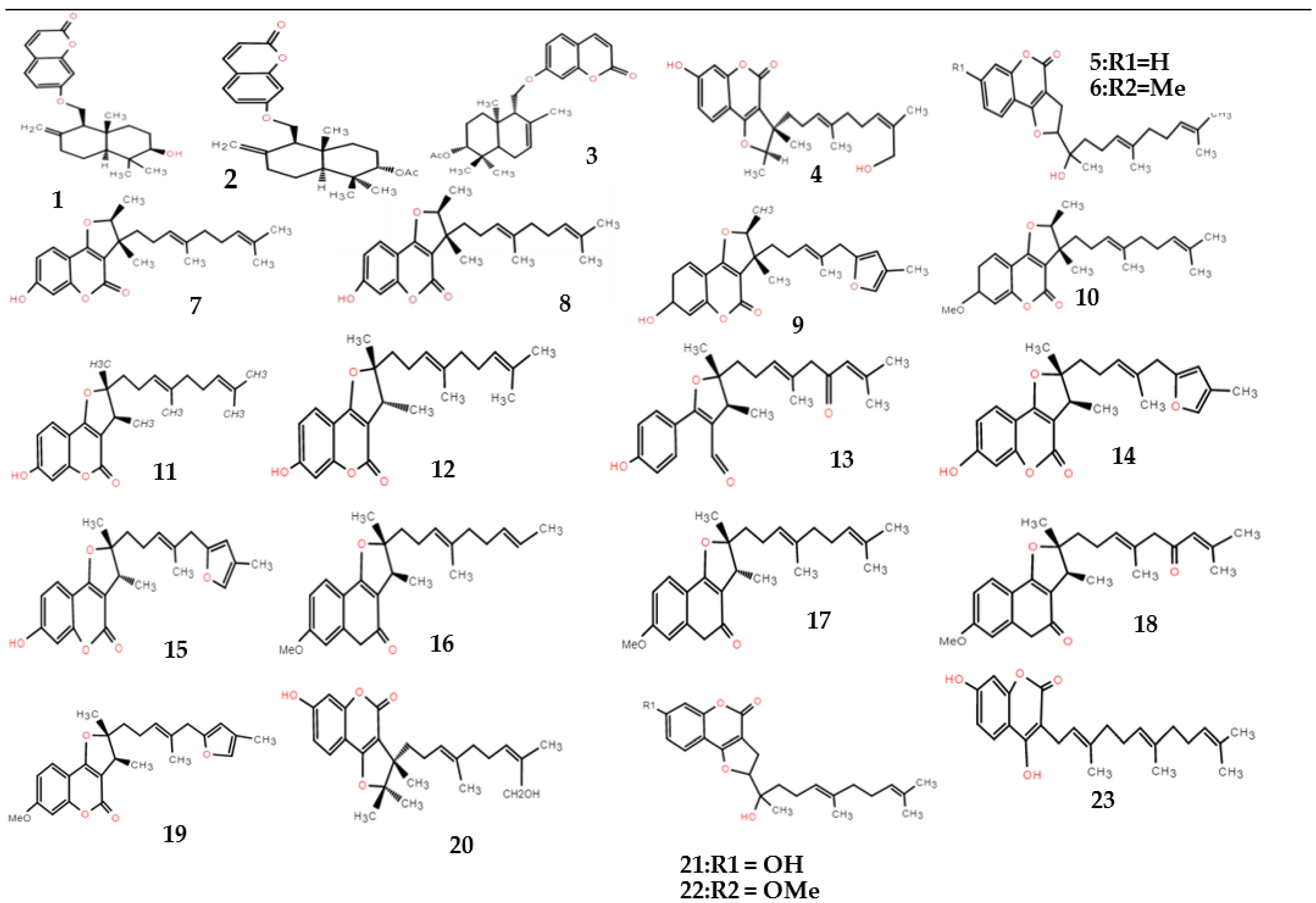 Molecules 28 03579 g001 Molecules 28 03579 g001