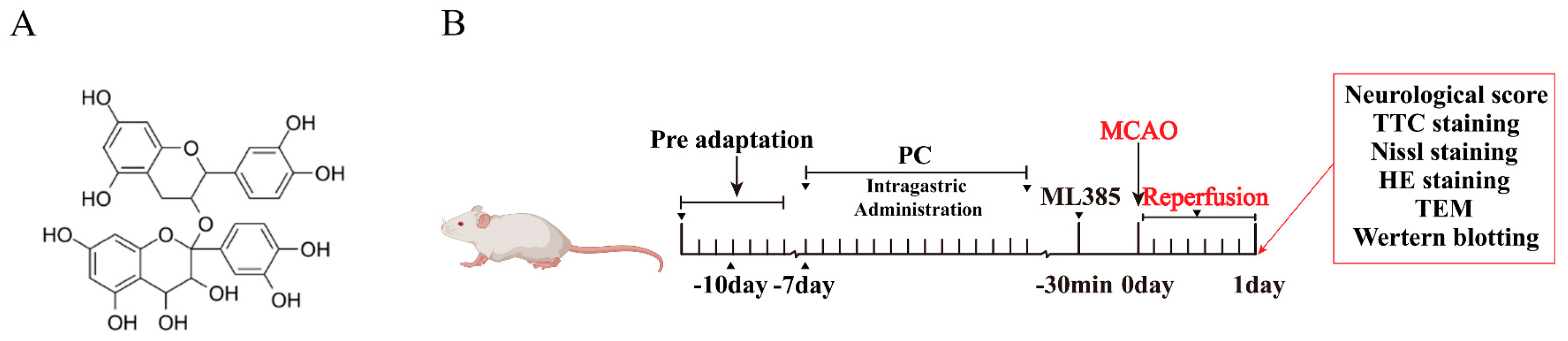 Molecules 28 03582 g001