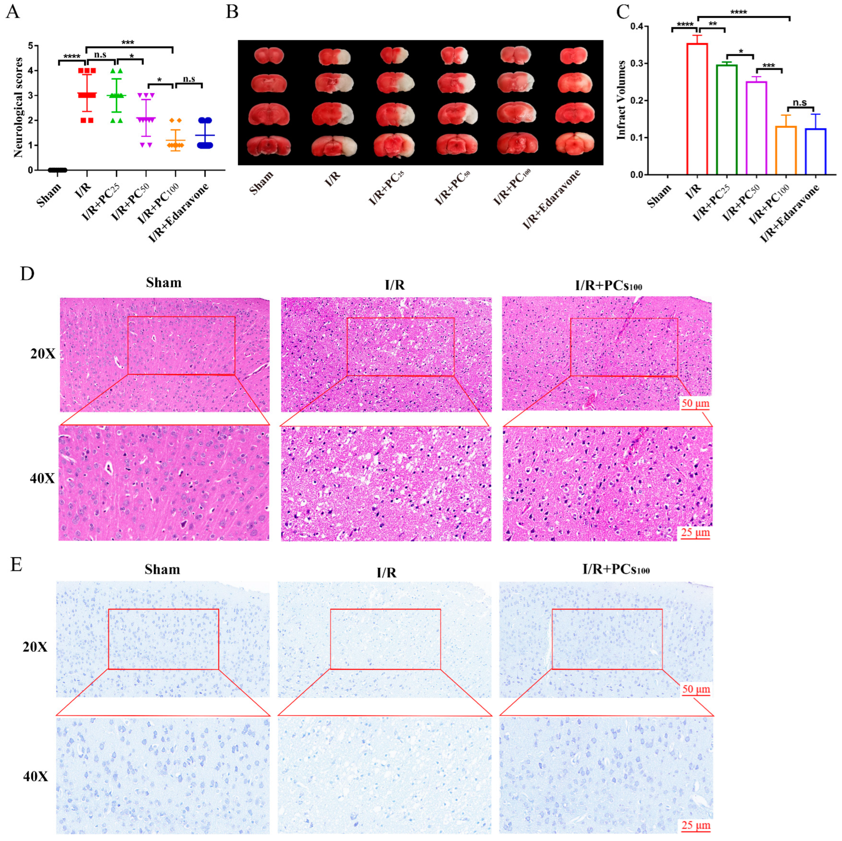 Molecules 28 03582 g002
