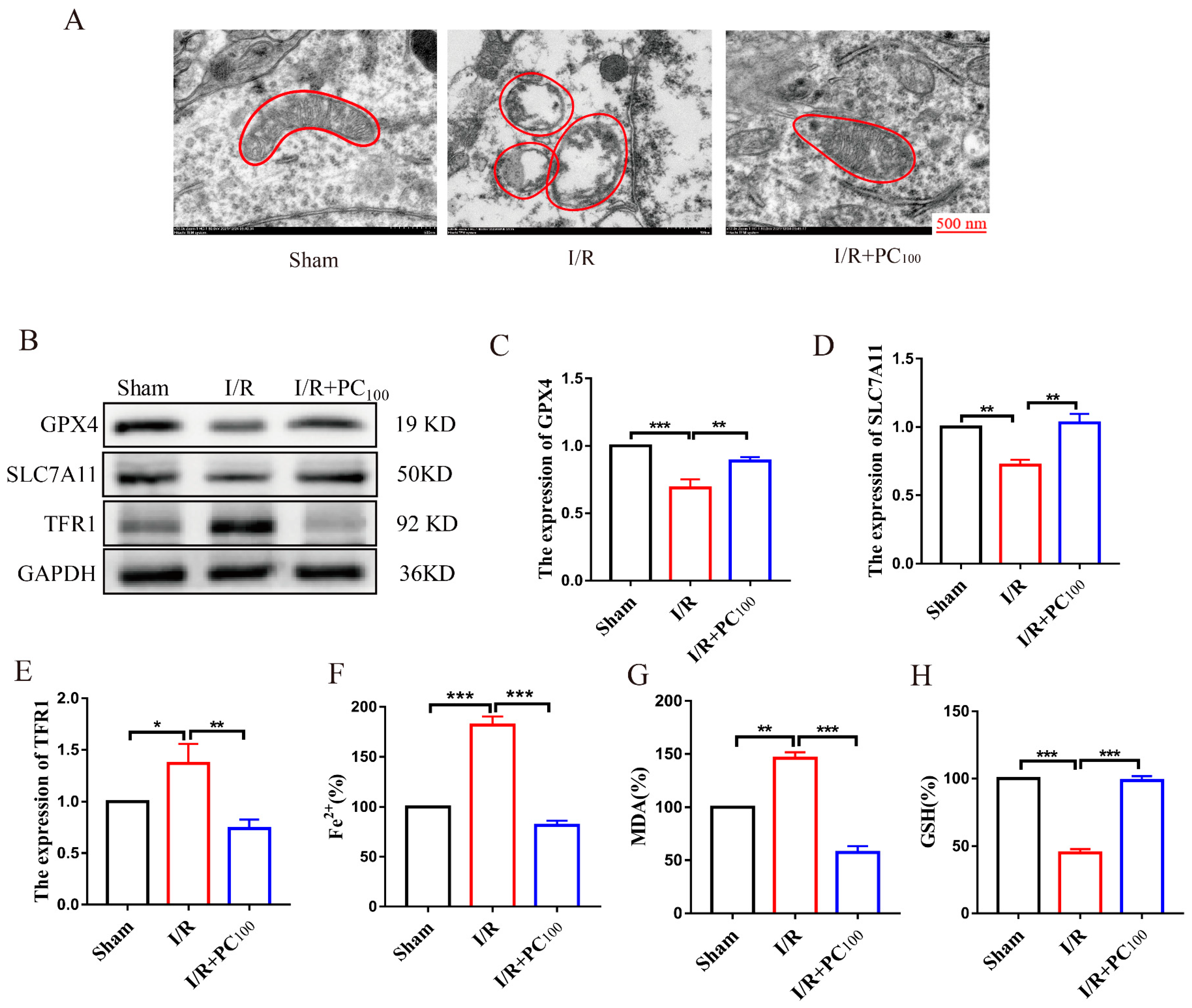Molecules 28 03582 g003