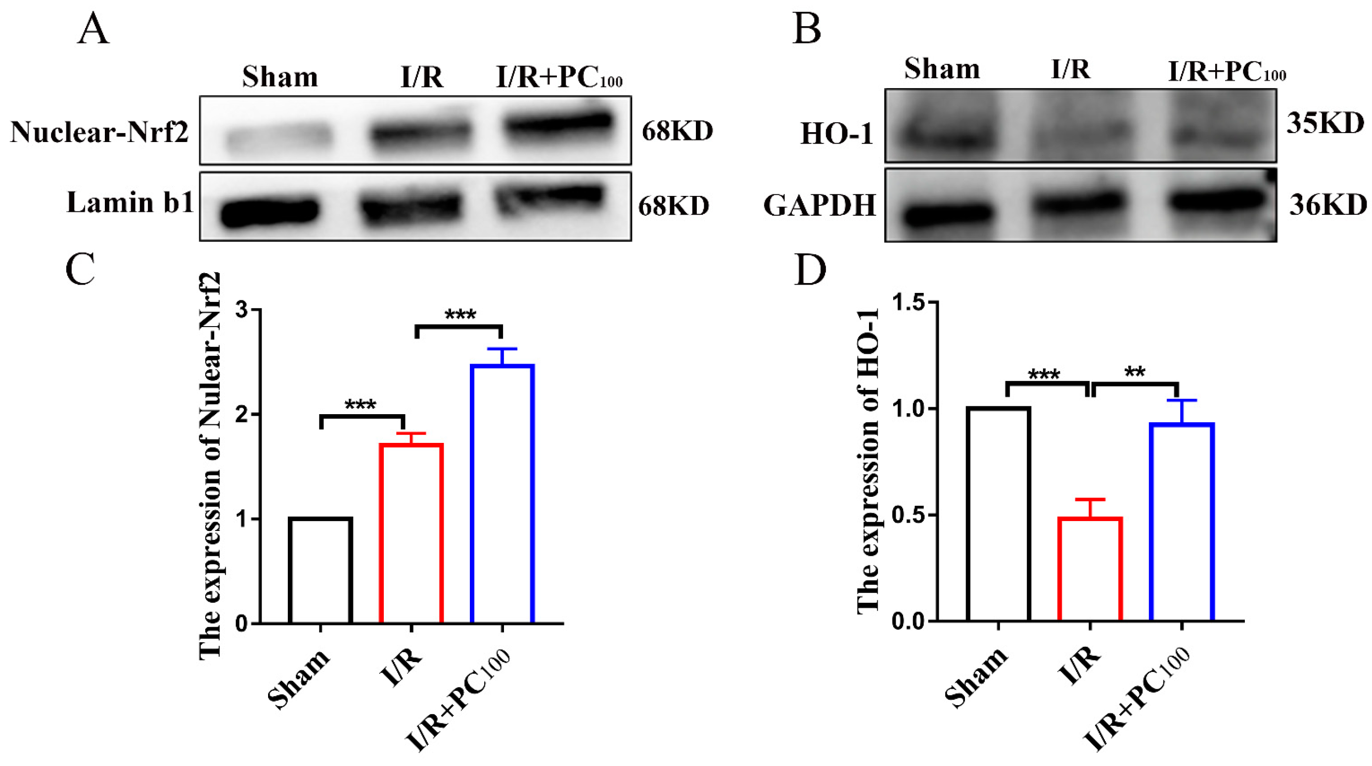 Molecules 28 03582 g004