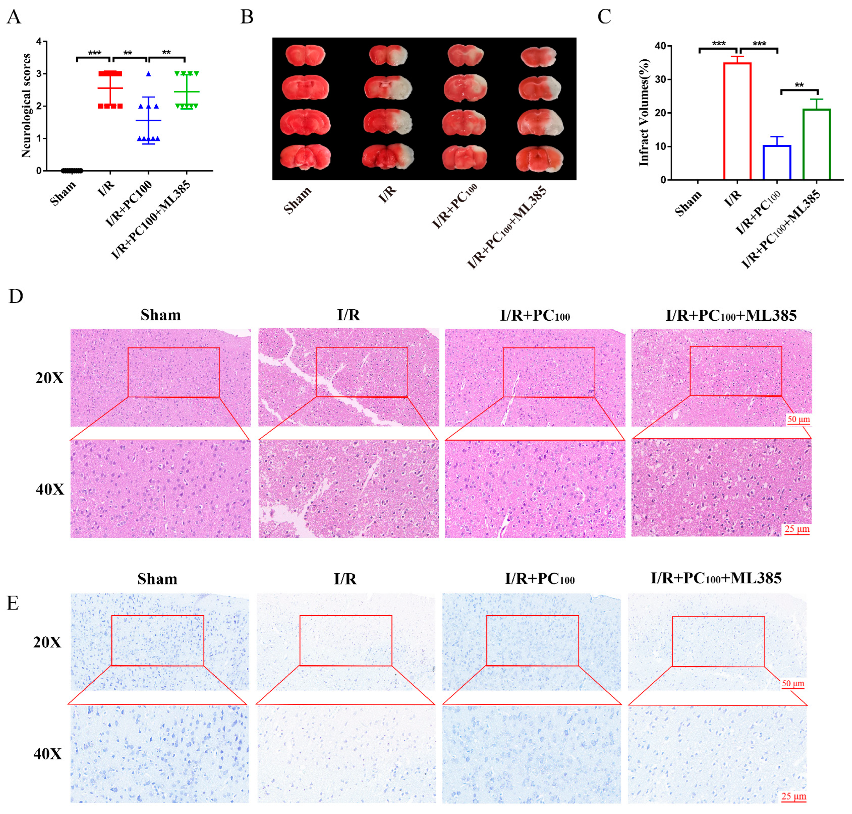 Molecules 28 03582 g005