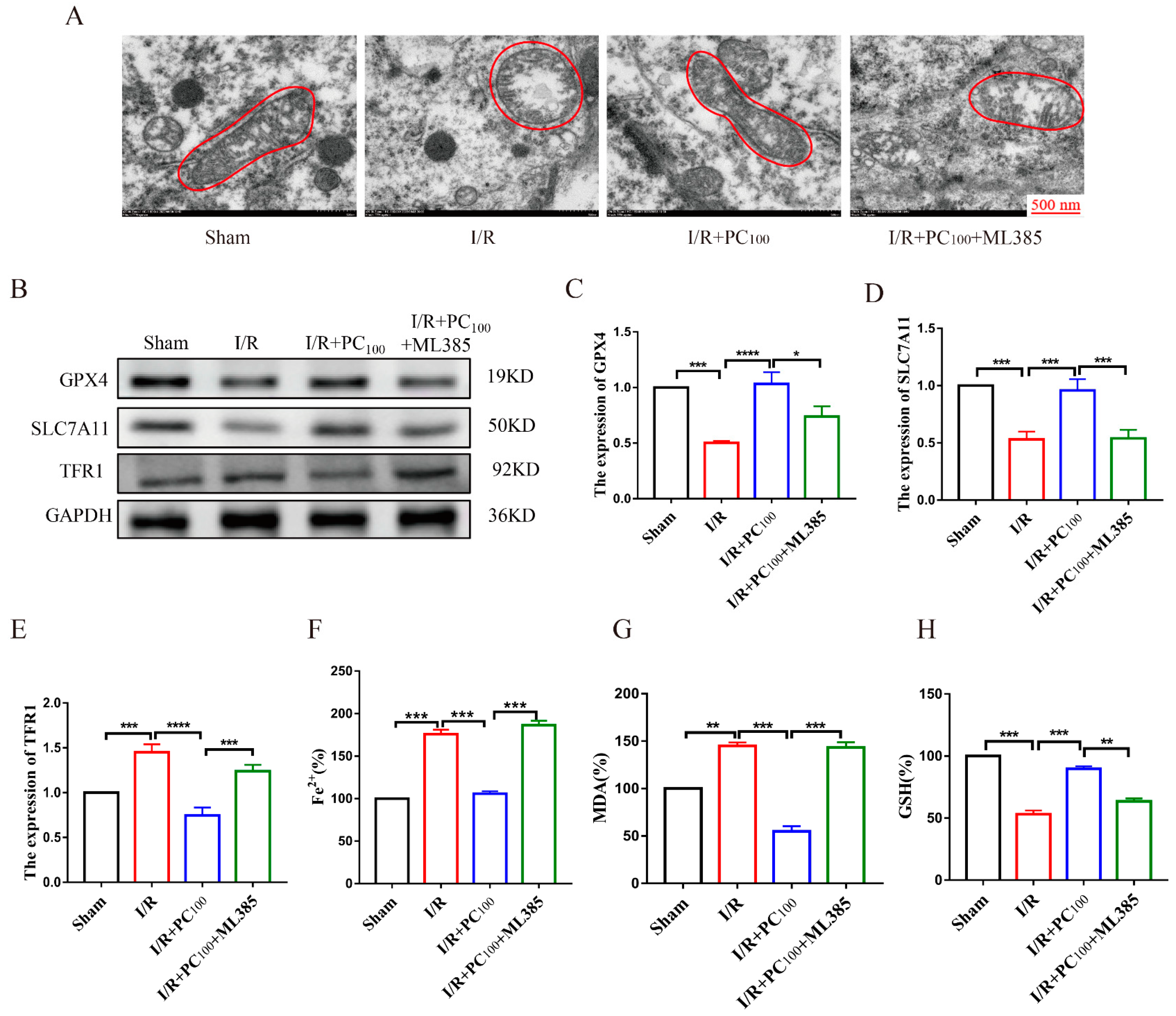 Molecules 28 03582 g006