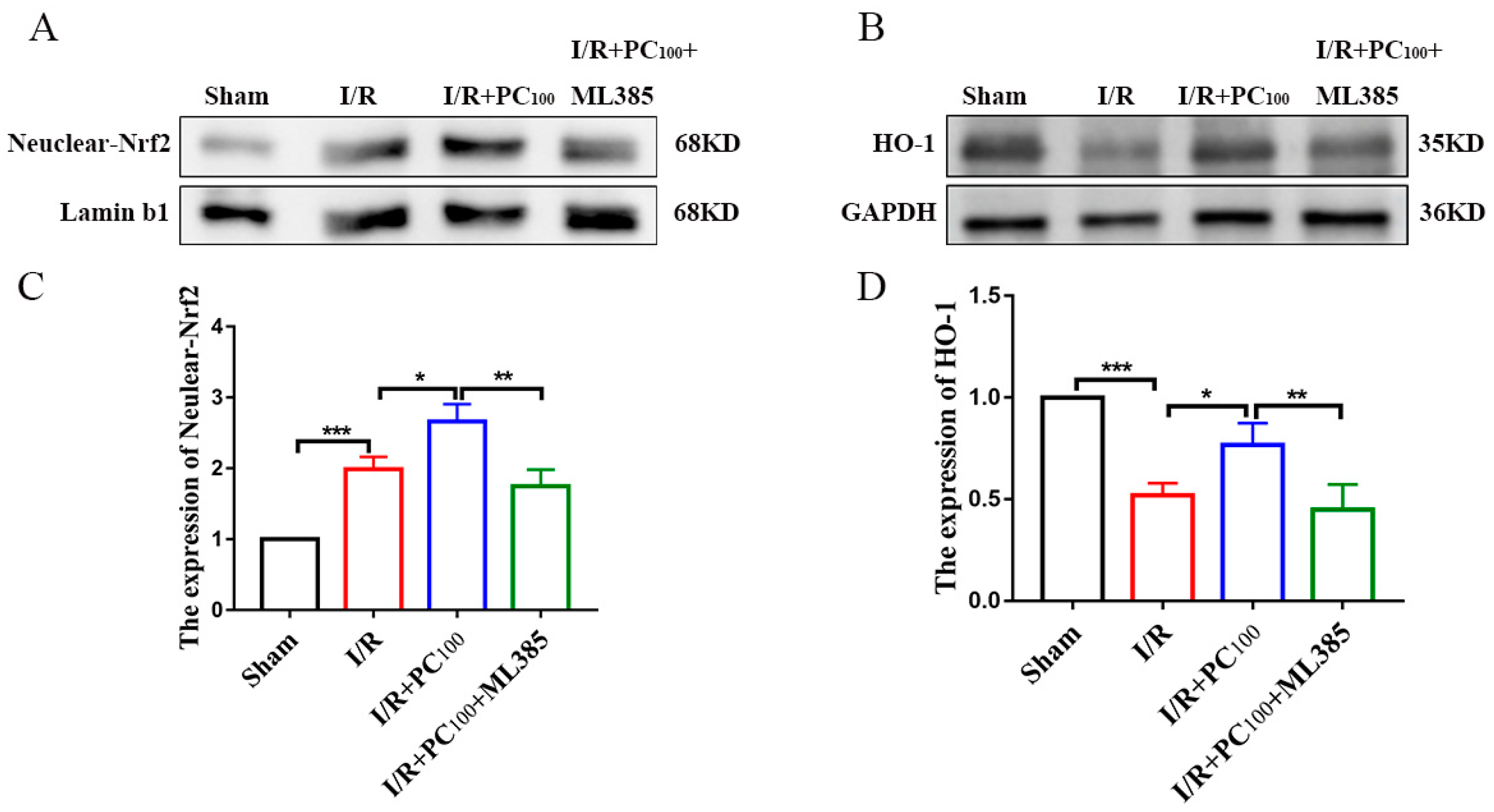 Molecules 28 03582 g007