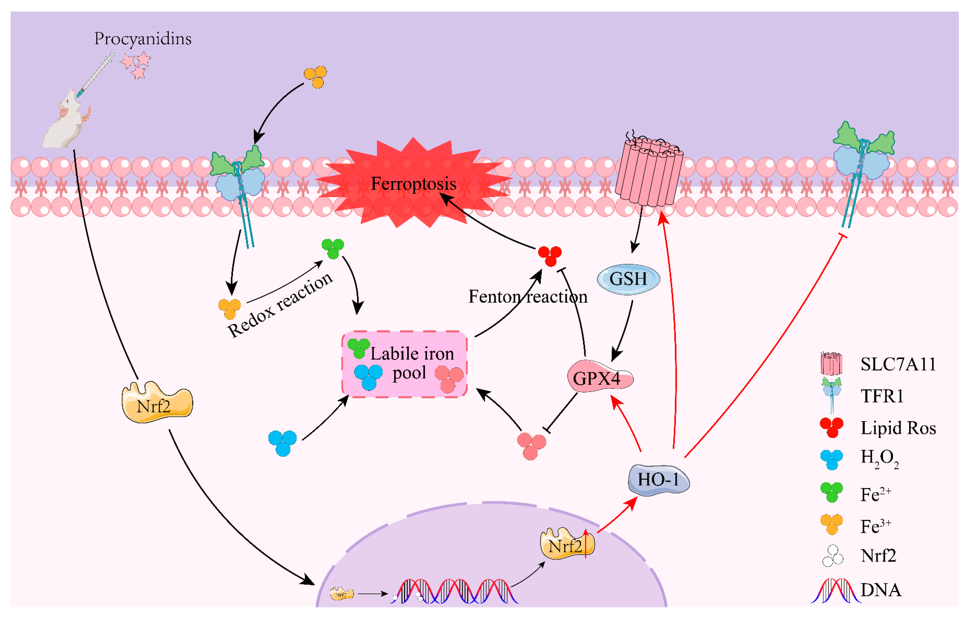 Molecules 28 03582 g008