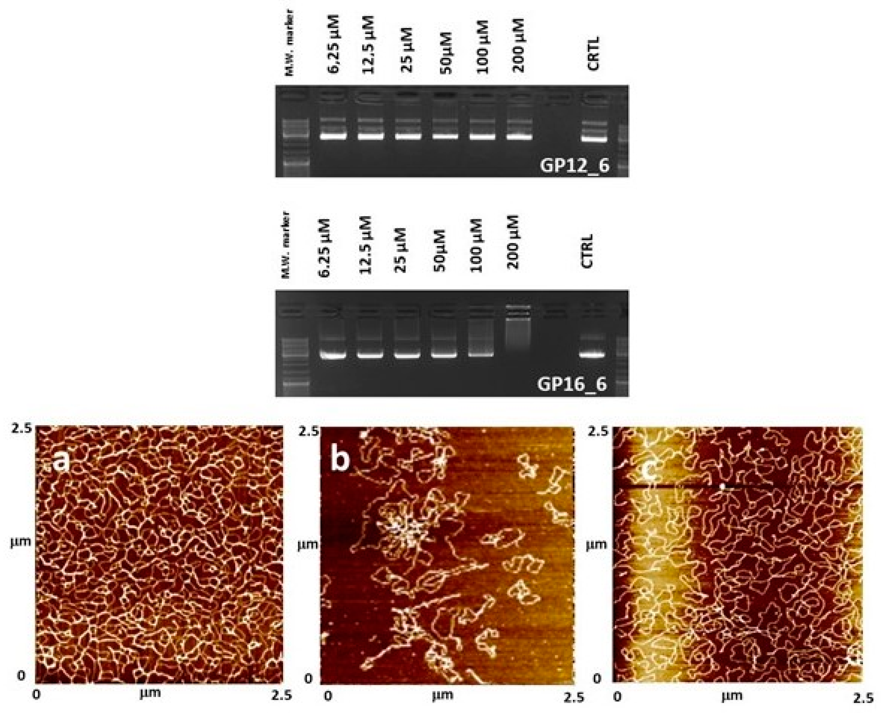 Molecules 28 03585 g003 Molecules 28 03585 g003
