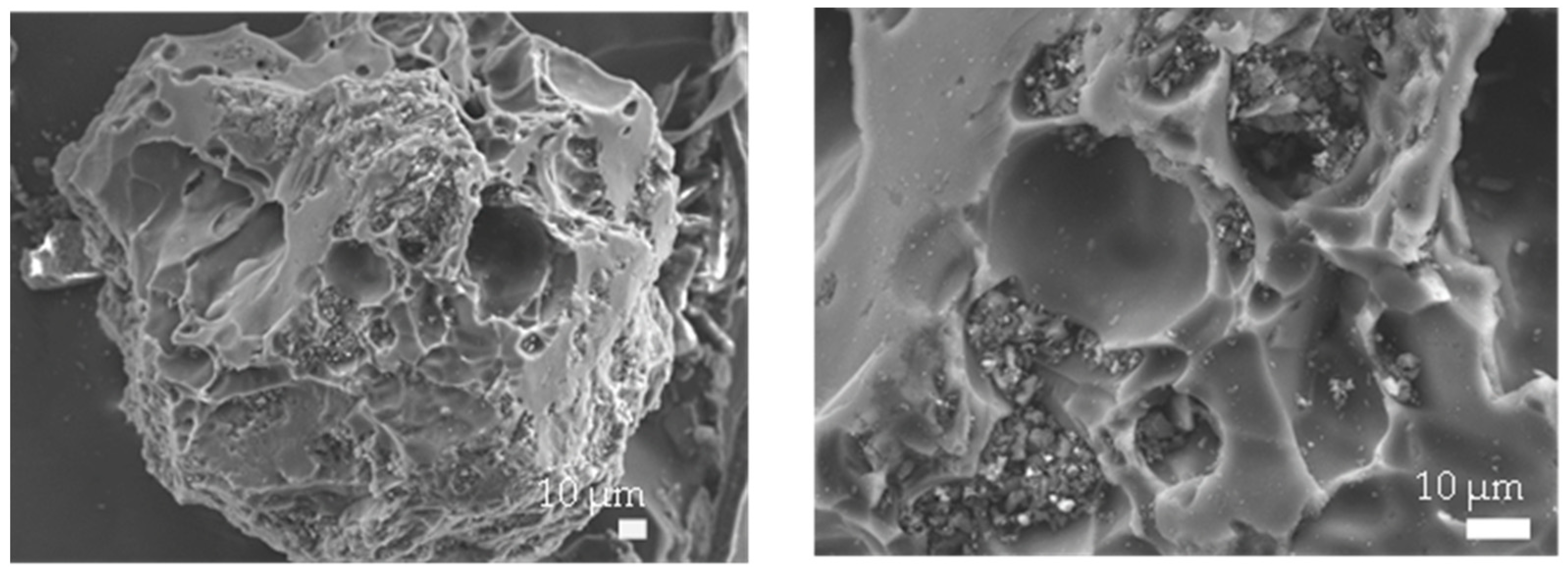 Molecules 28 03590 g003 Molecules 28 03590 g003