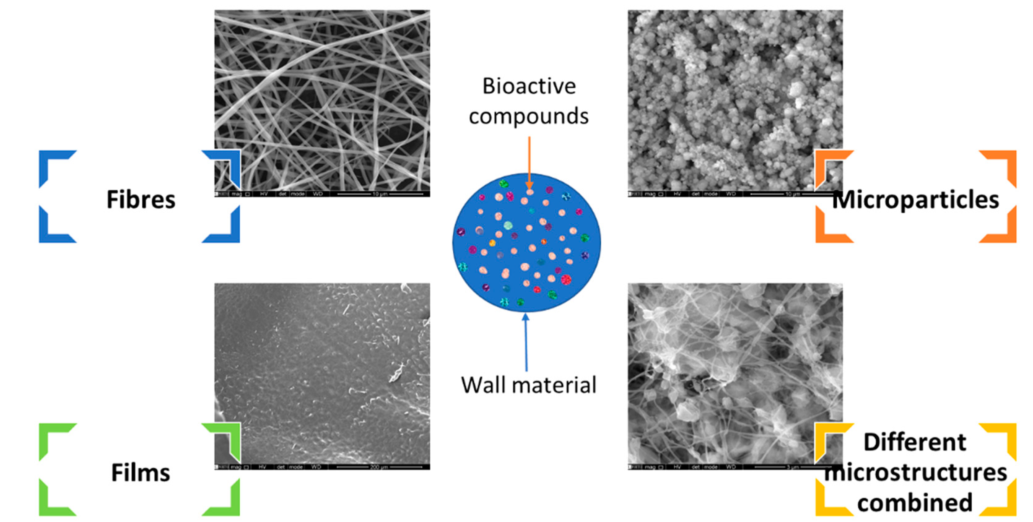 Molecules 28 03592 g001