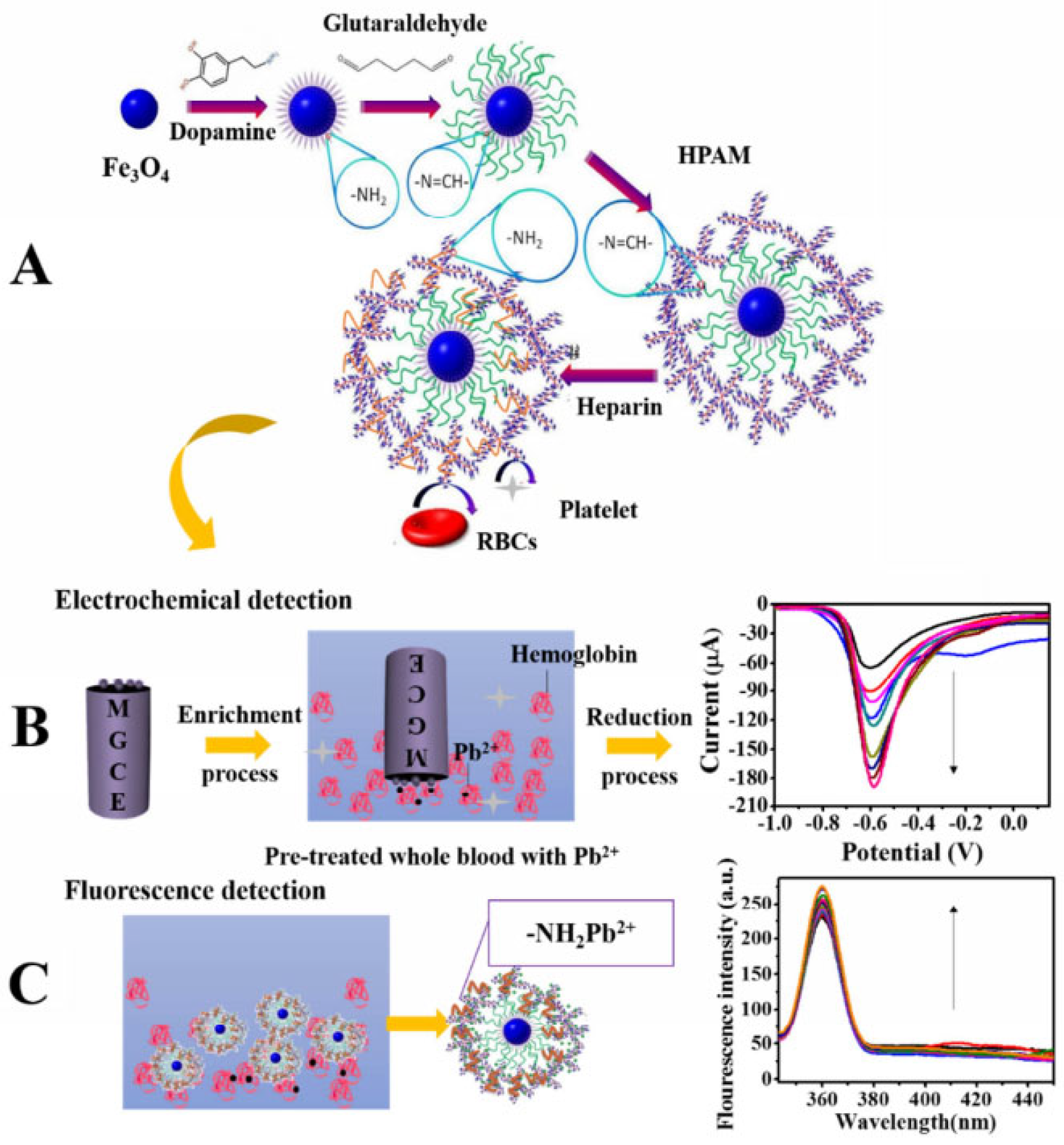 Molecules 28 03601 g005
