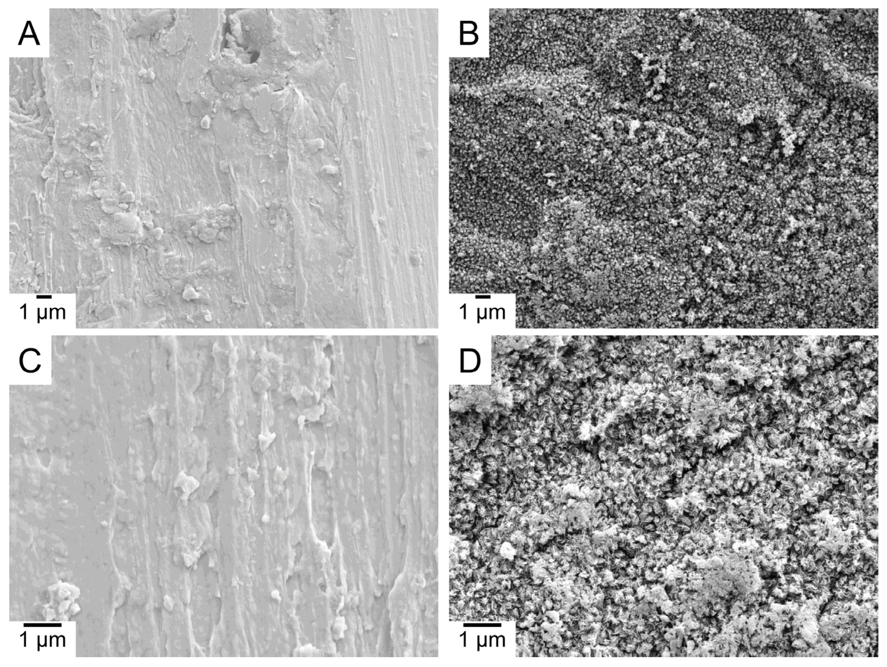 Molecules 28 03611 g001