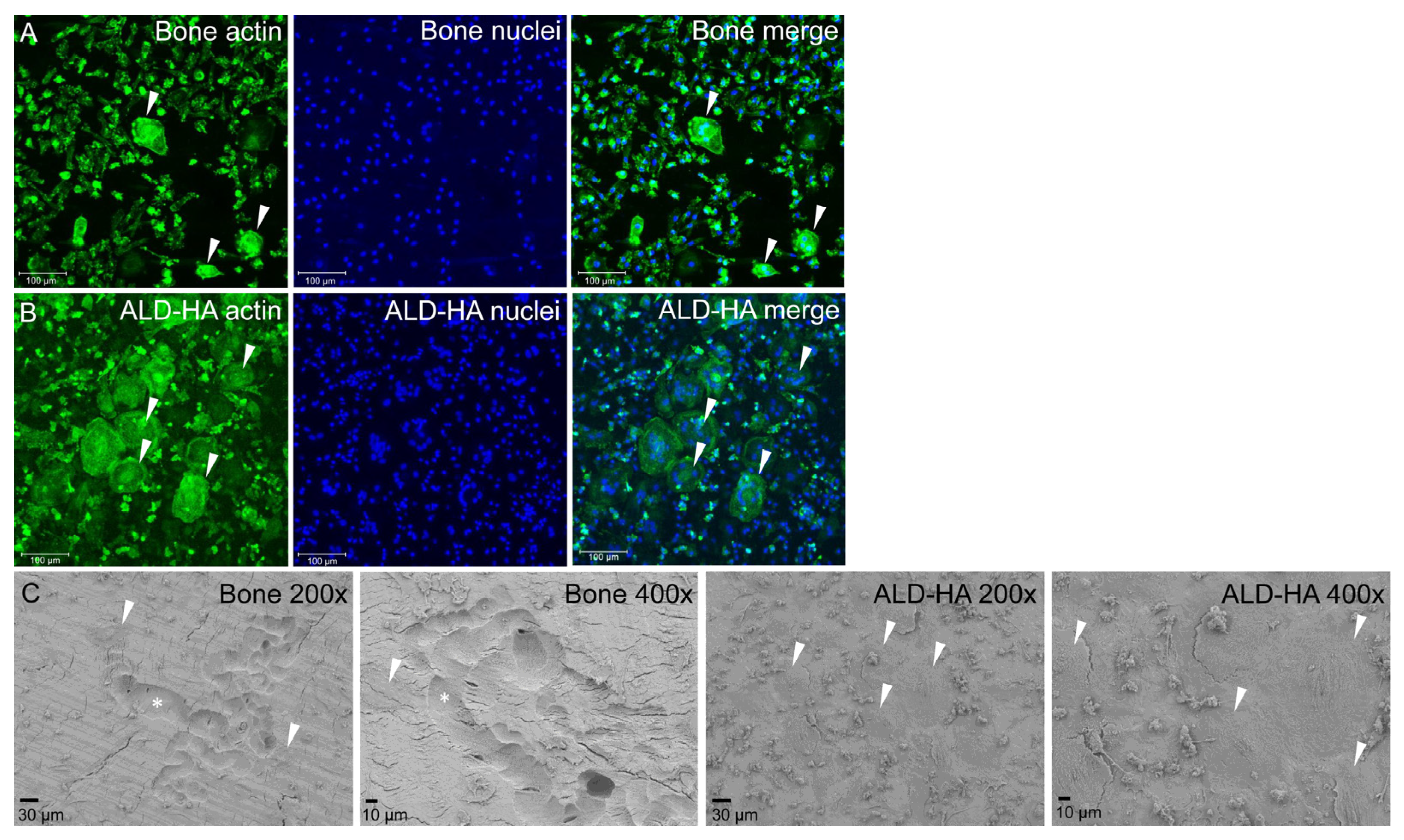 Molecules 28 03611 g003