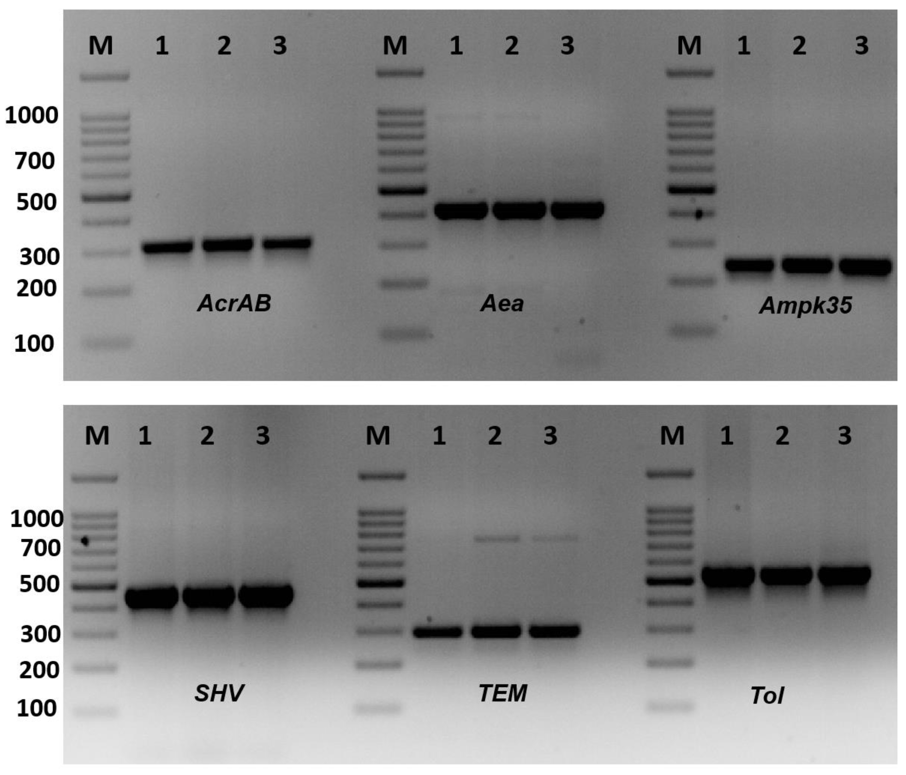 Molecules 28 03613 g002 Molecules 28 03613 g002