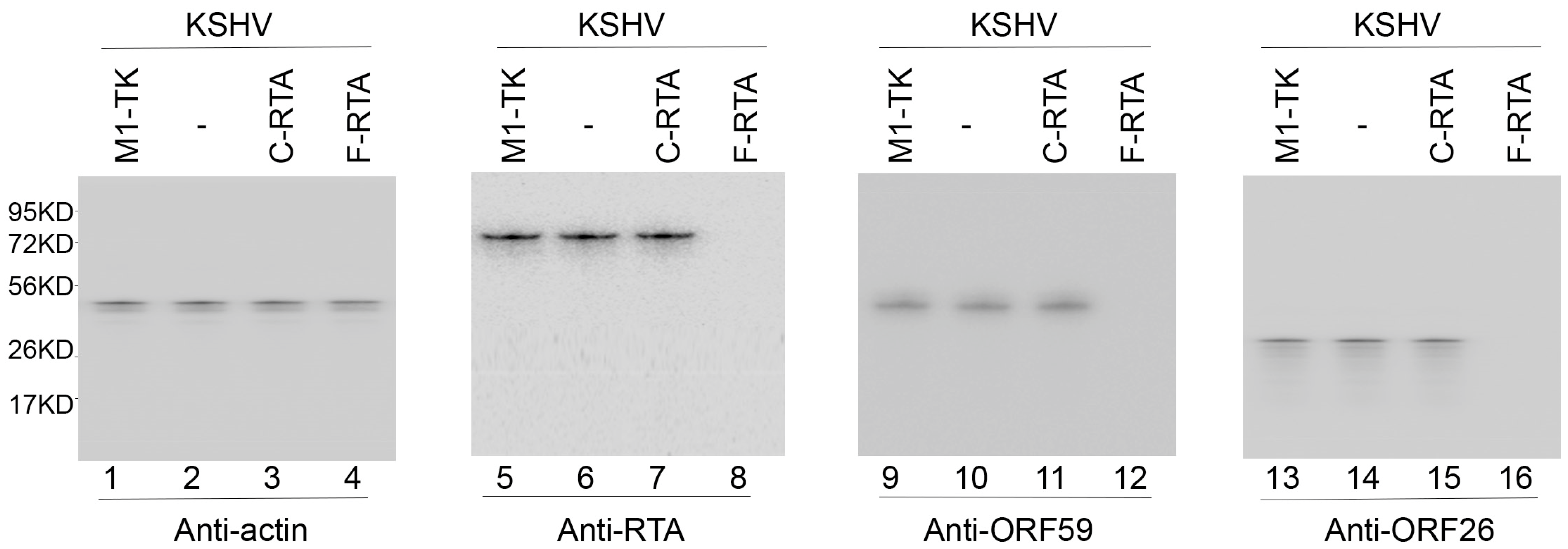 Molecules 28 03619 g004