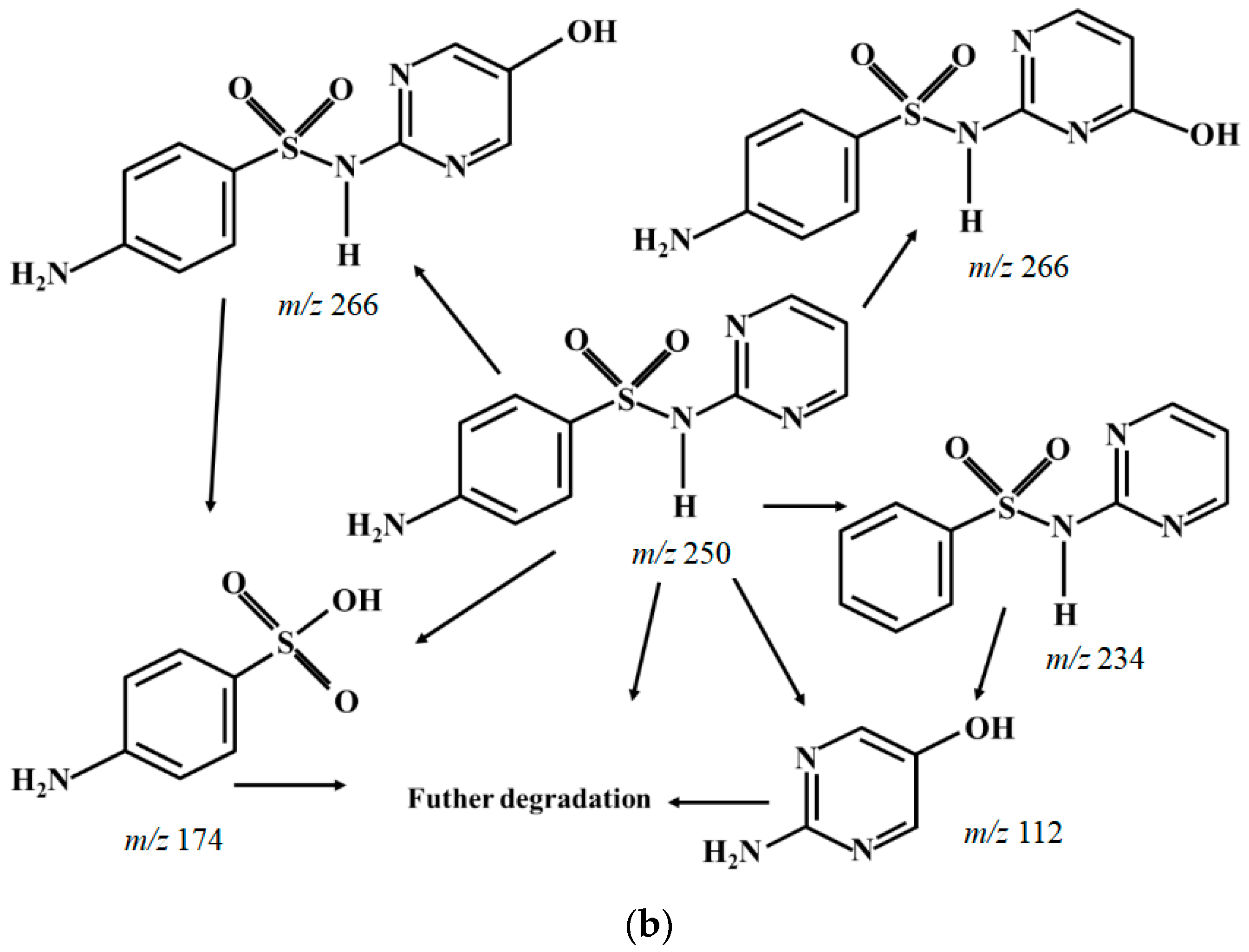 Molecules 28 03620 g005b