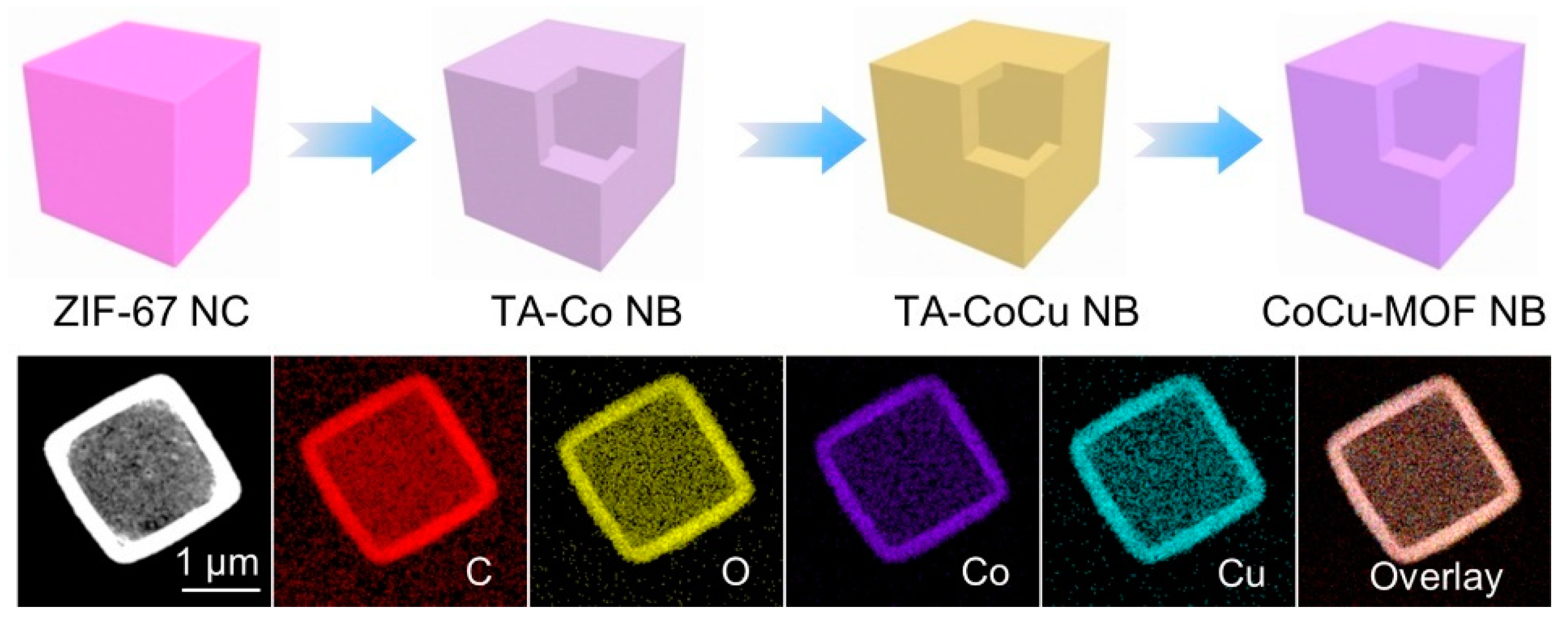 Molecules 28 03622 g004 Molecules 28 03622 g004