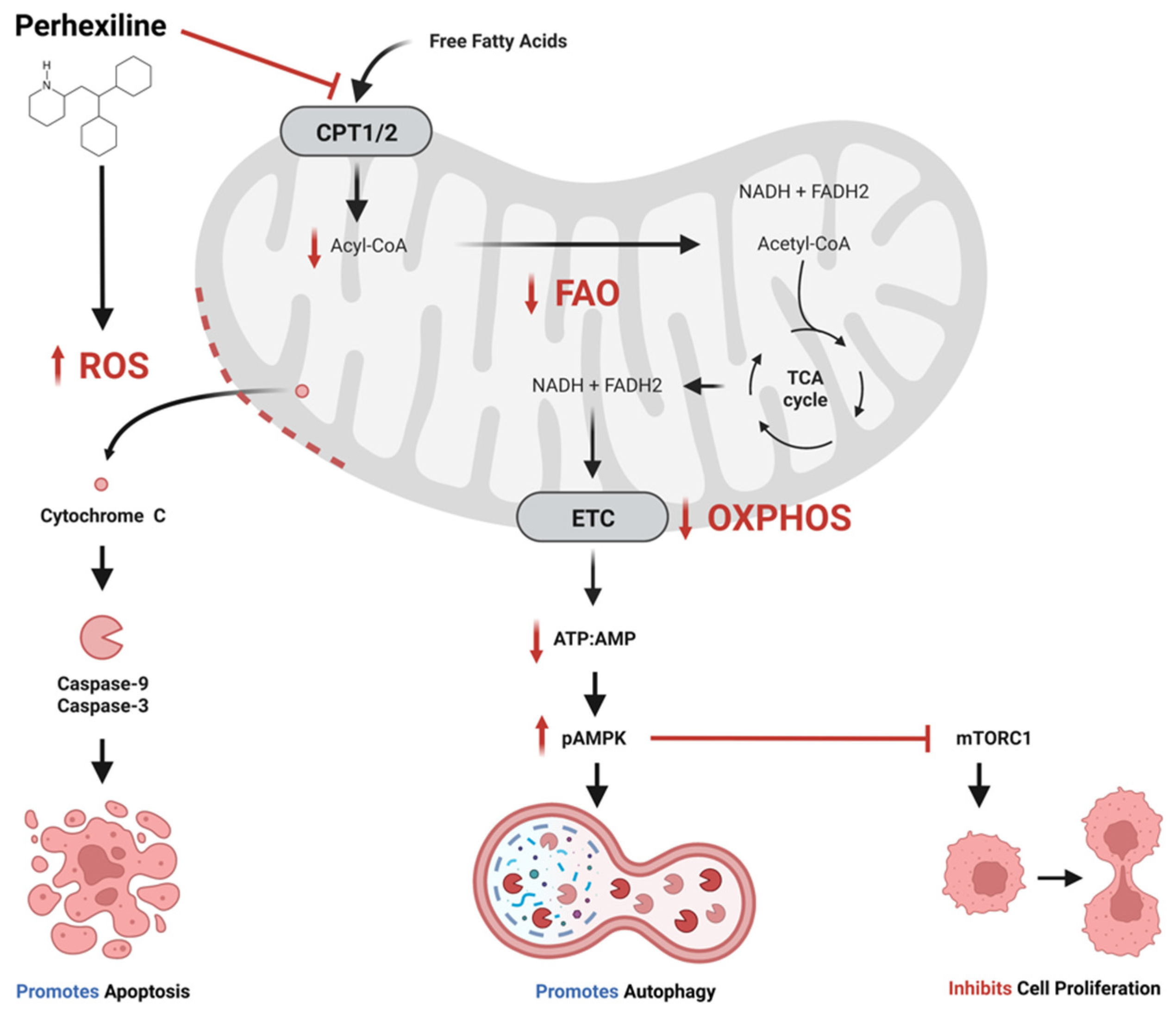 Molecules 28 03624 g001 Molecules 28 03624 g001