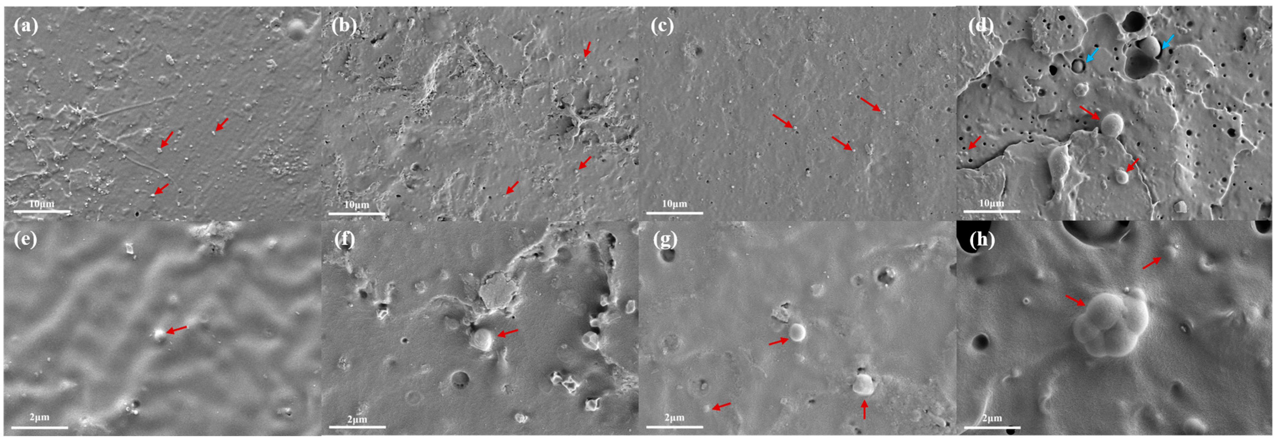 Molecules 28 03627 g002 Molecules 28 03627 g002