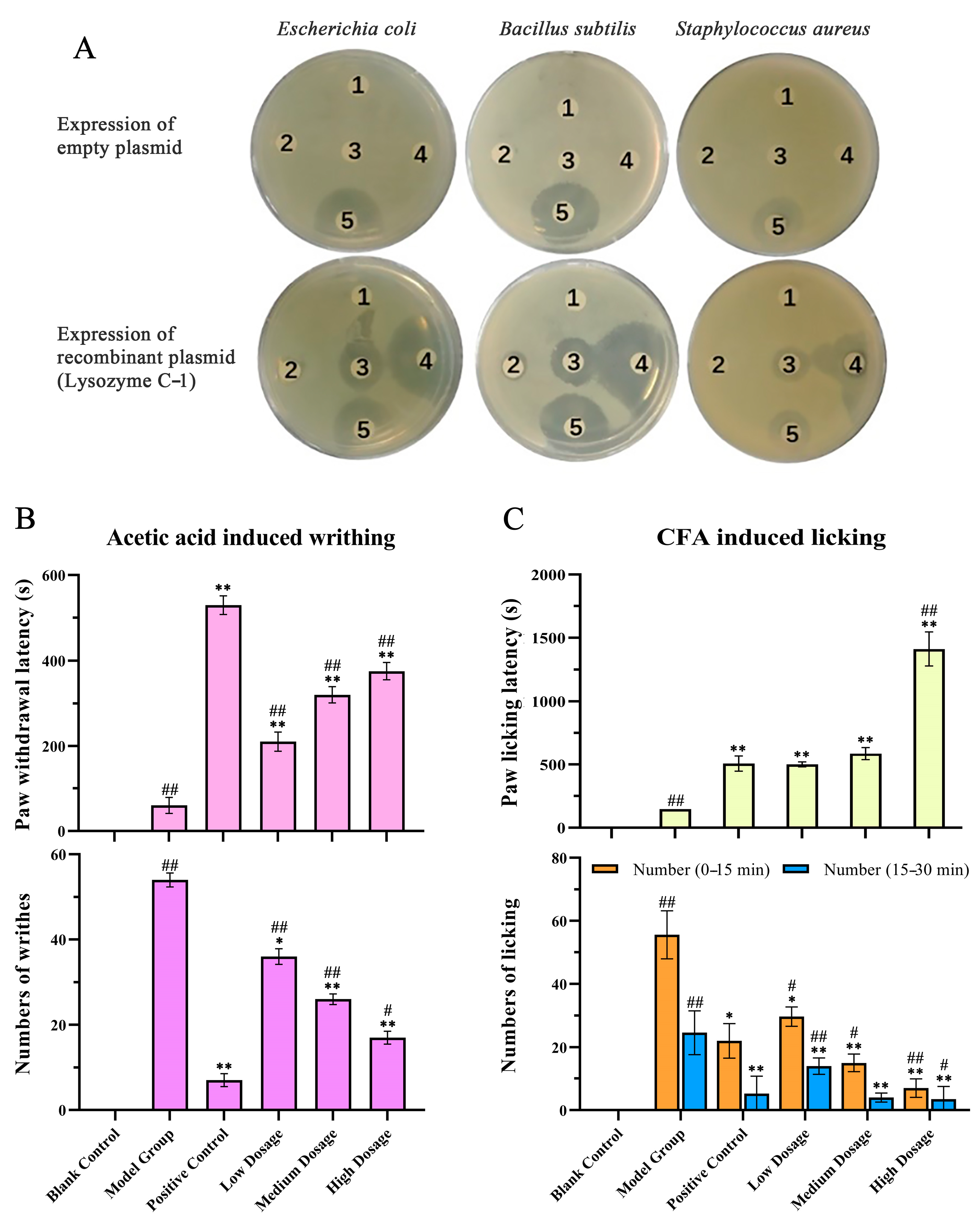 Molecules 28 03628 g006