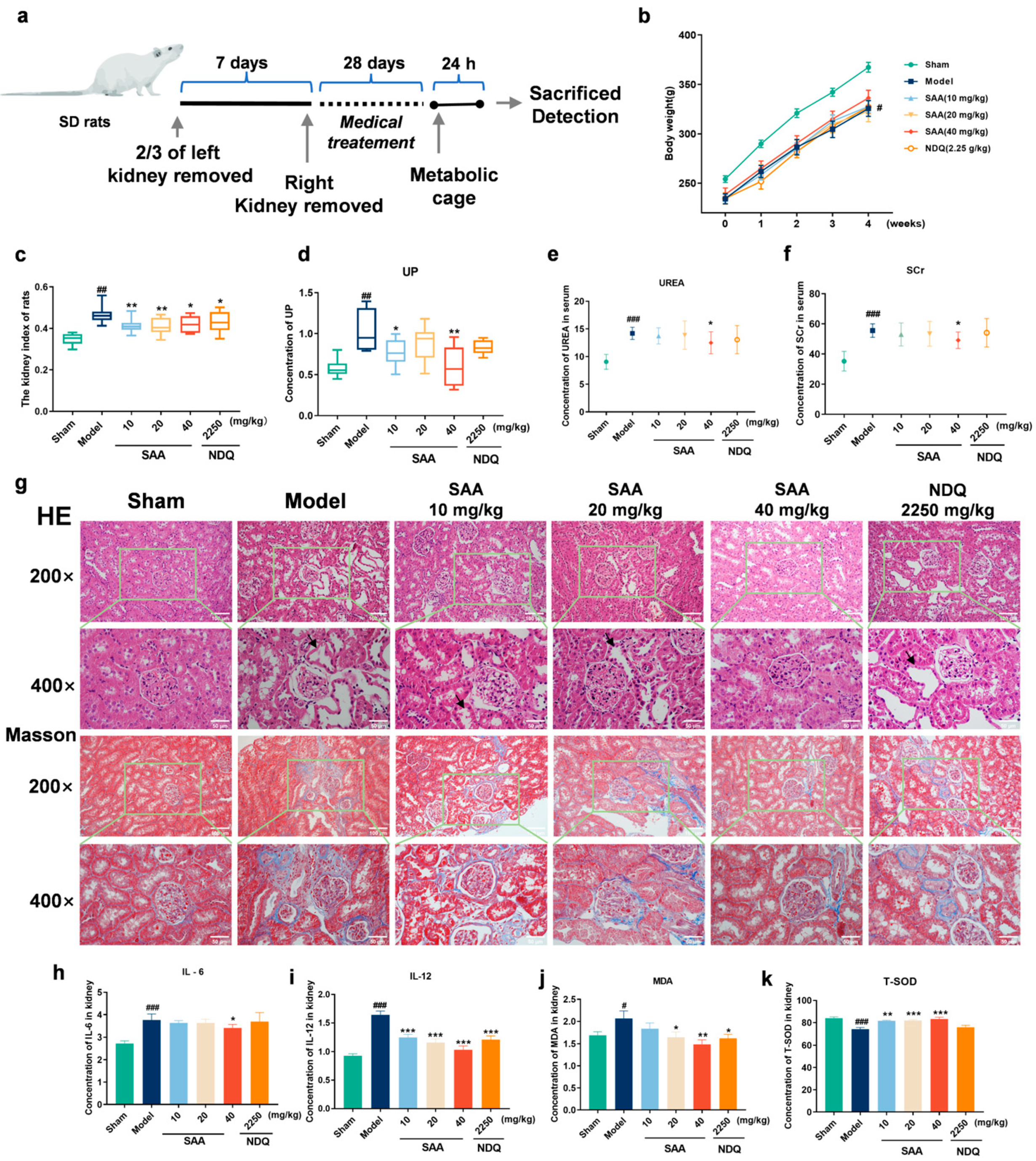 Molecules 28 03630 g002 Molecules 28 03630 g002