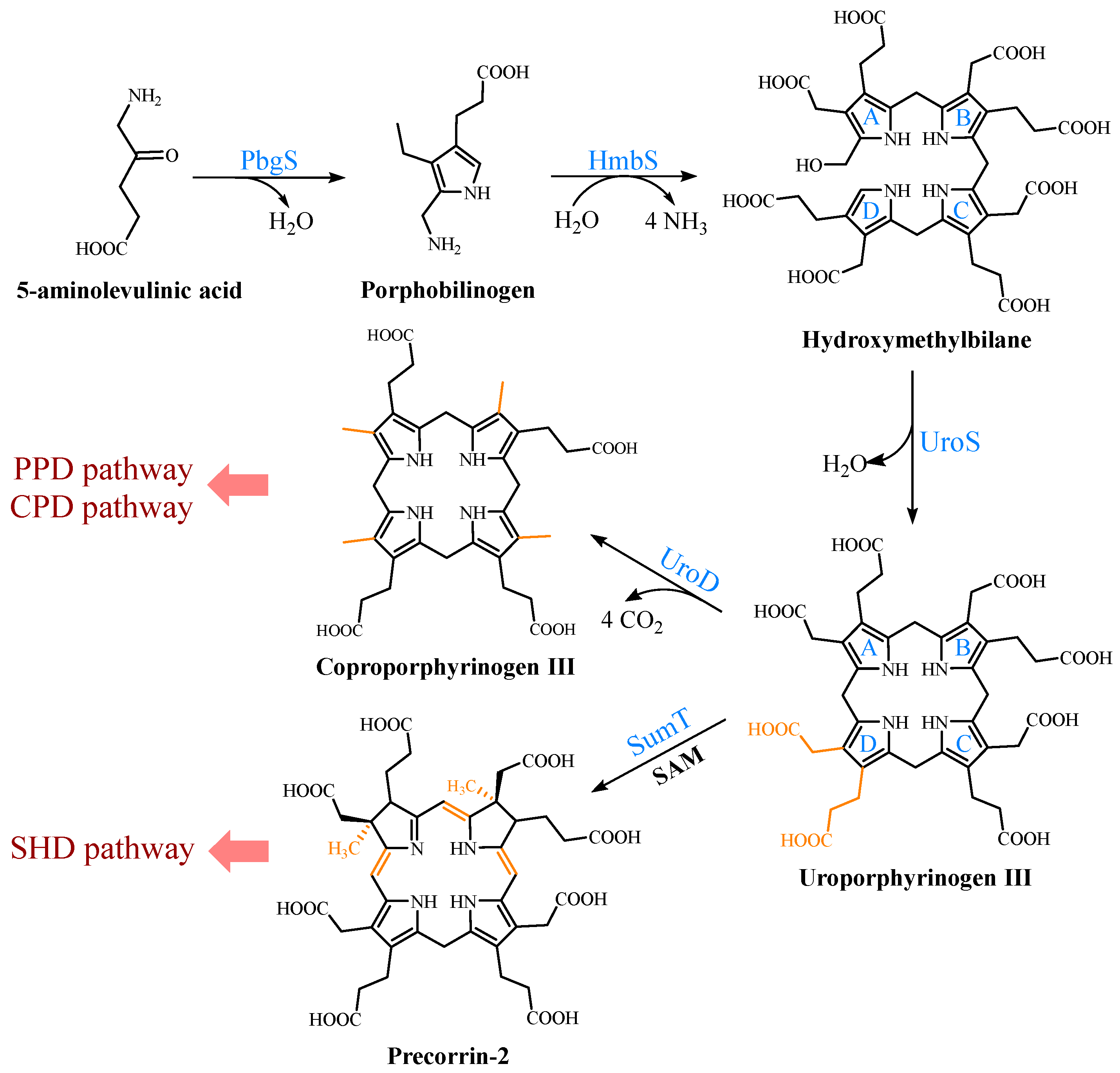 Molecules 28 03633 g002 550