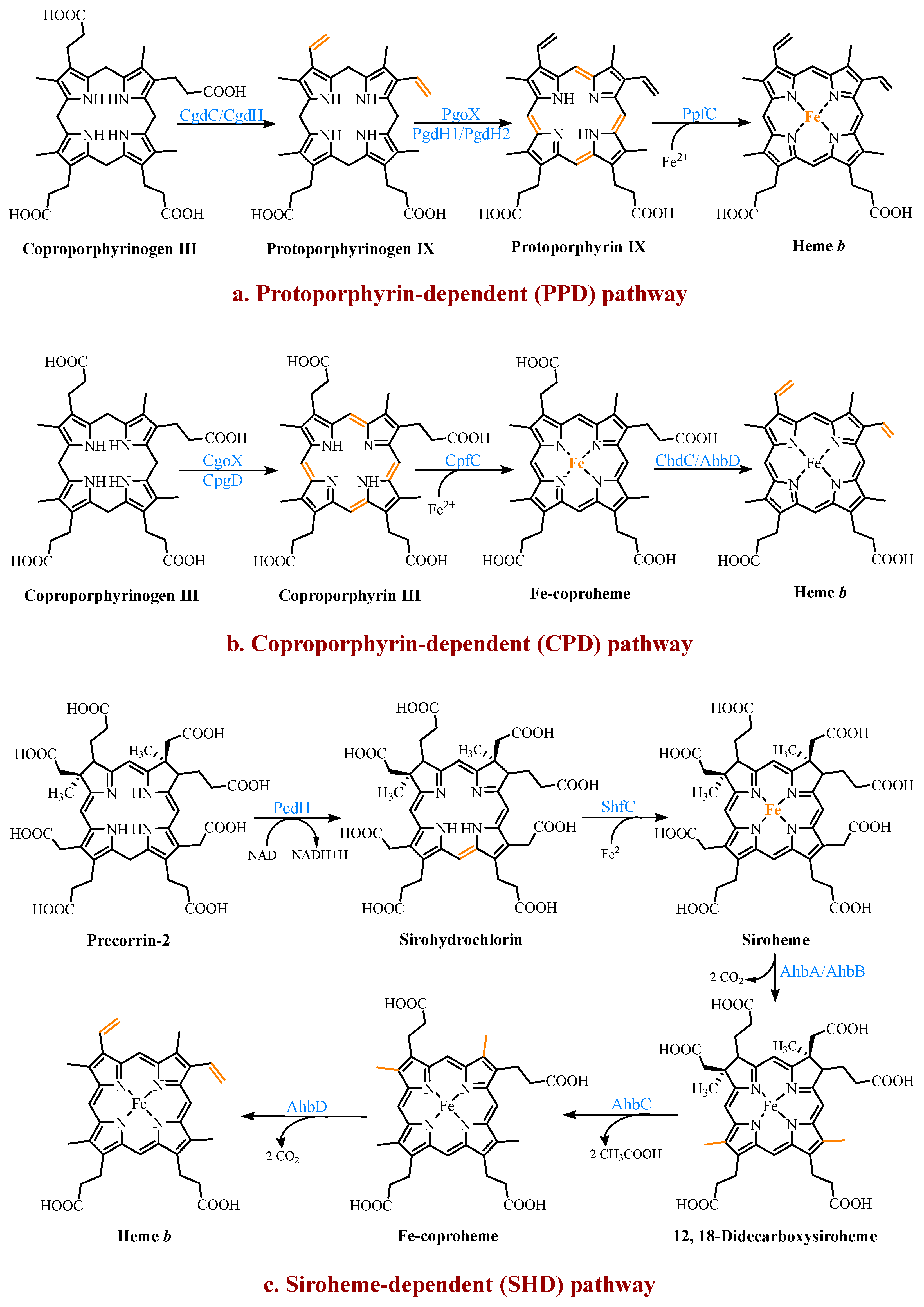 Molecules 28 03633 g003 550