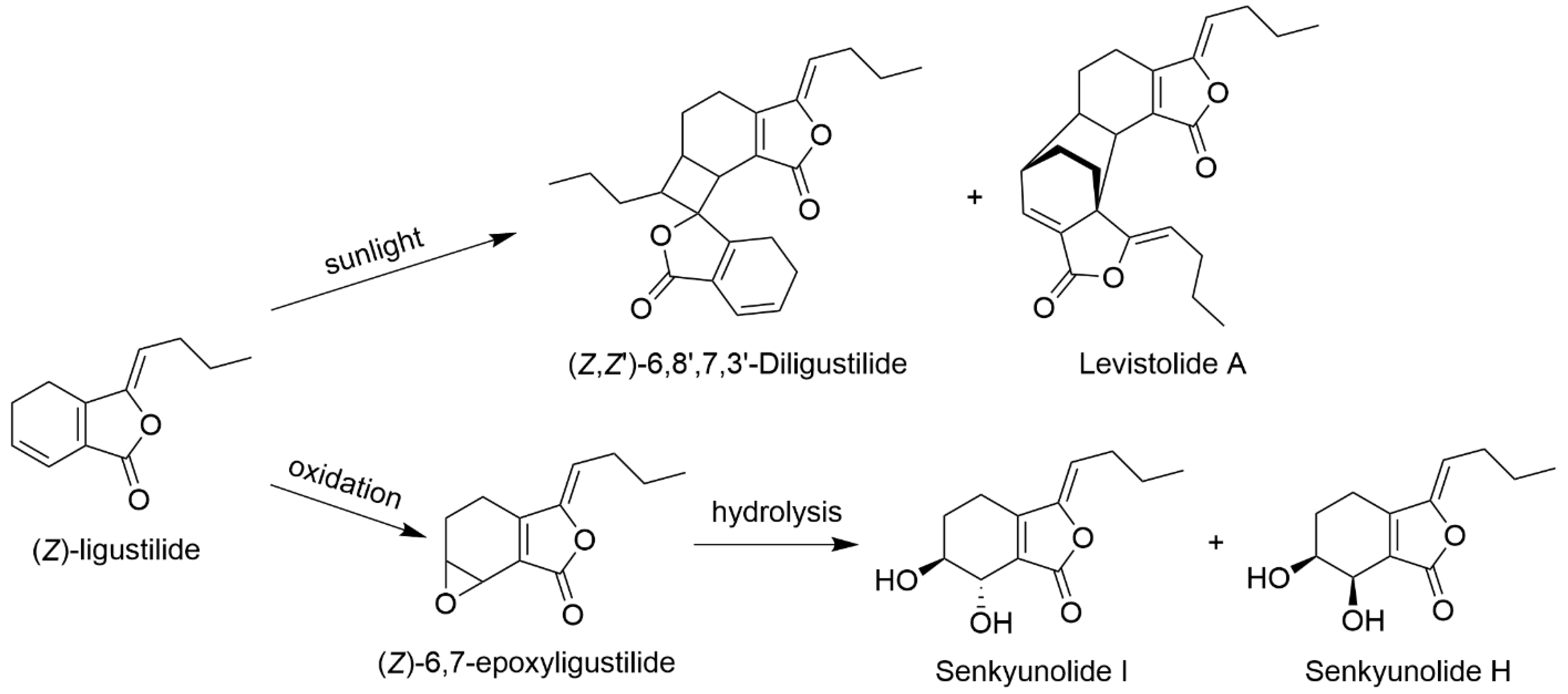 Molecules 28 03636 g003 Molecules 28 03636 g003
