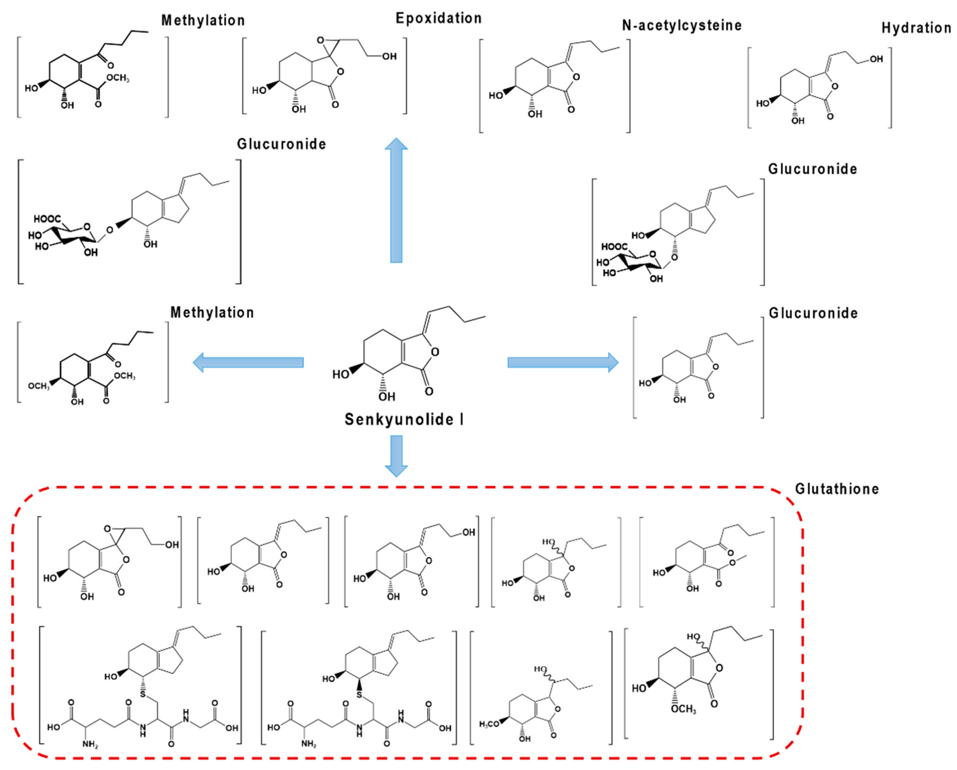 Molecules 28 03636 g005 Molecules 28 03636 g005