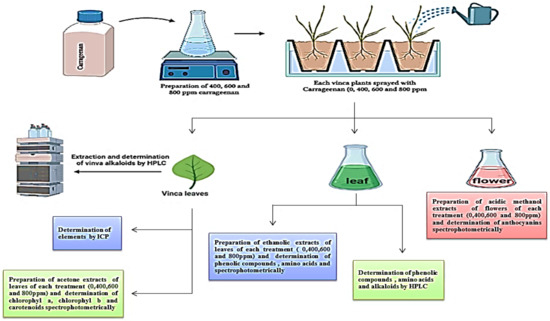 Molecules | Free Full-Text | Potentiating Biosynthesis of Alkaloids and ...