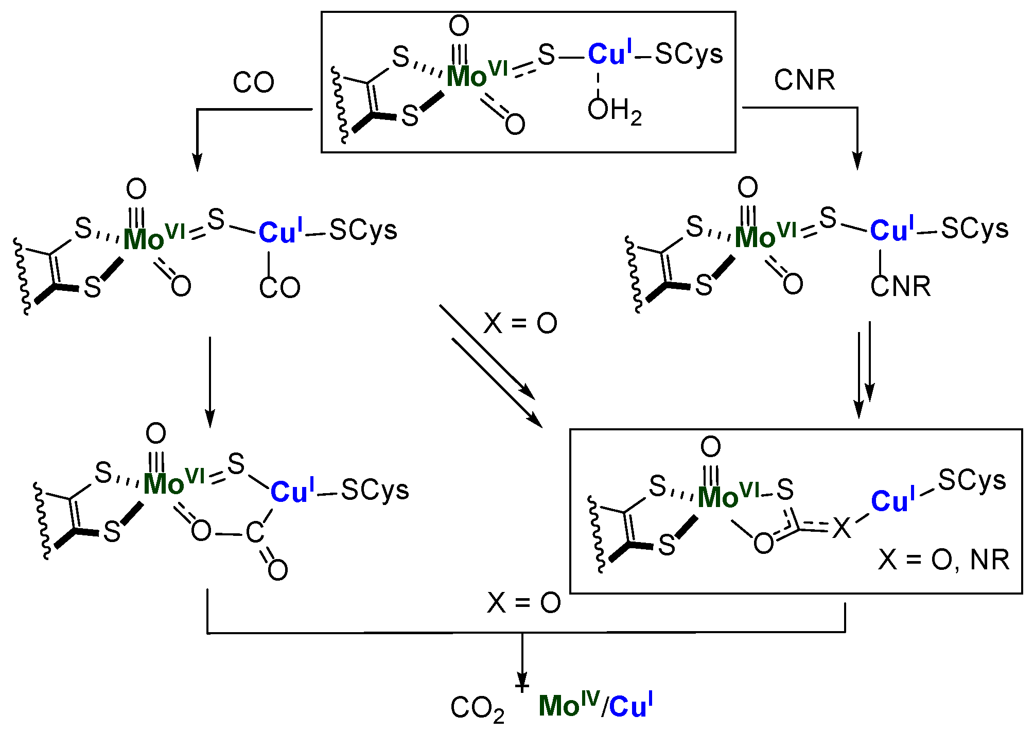 Molecules 28 03644 sch001 Molecules 28 03644 sch001