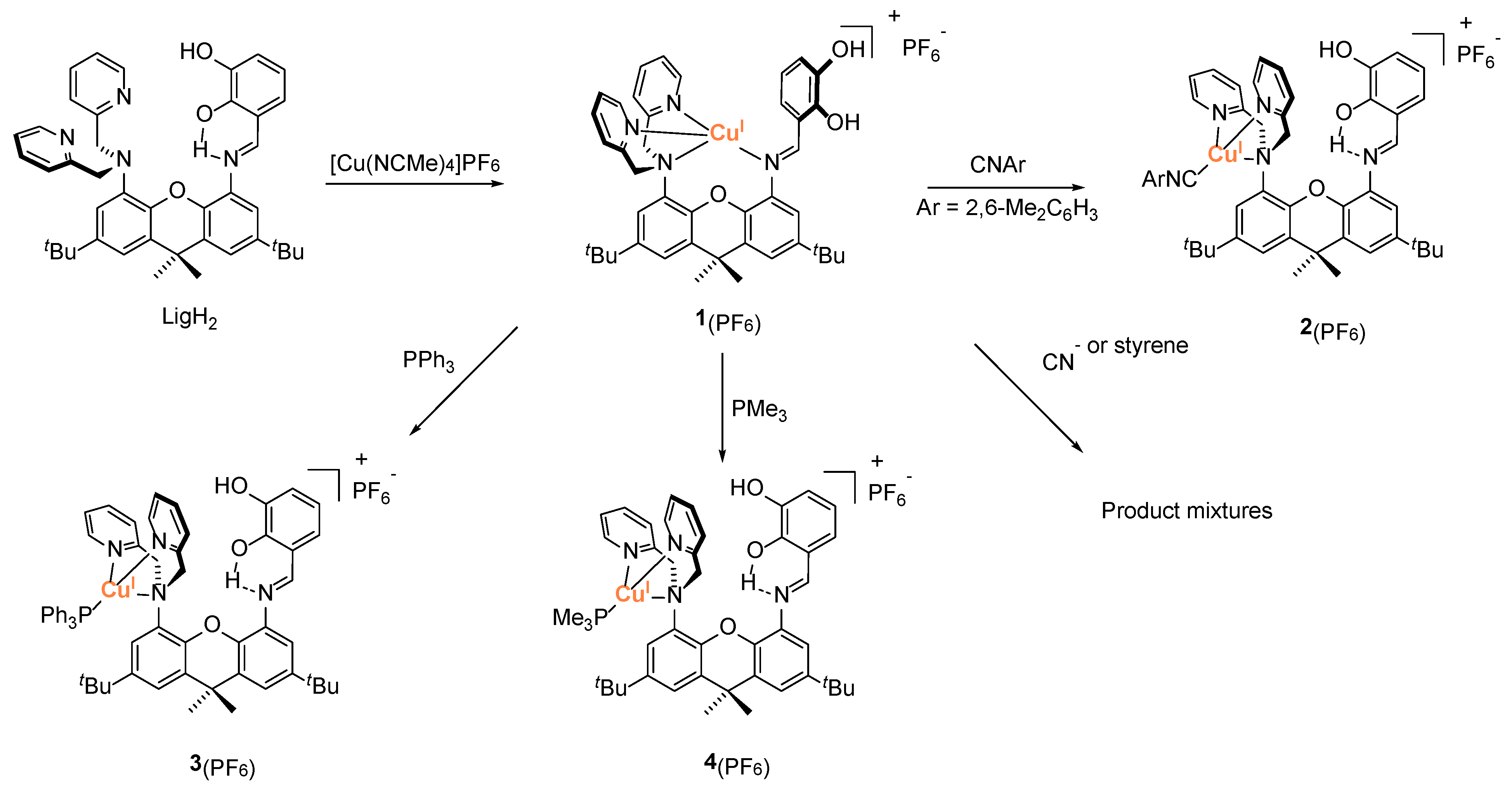 Molecules 28 03644 sch002 Molecules 28 03644 sch002