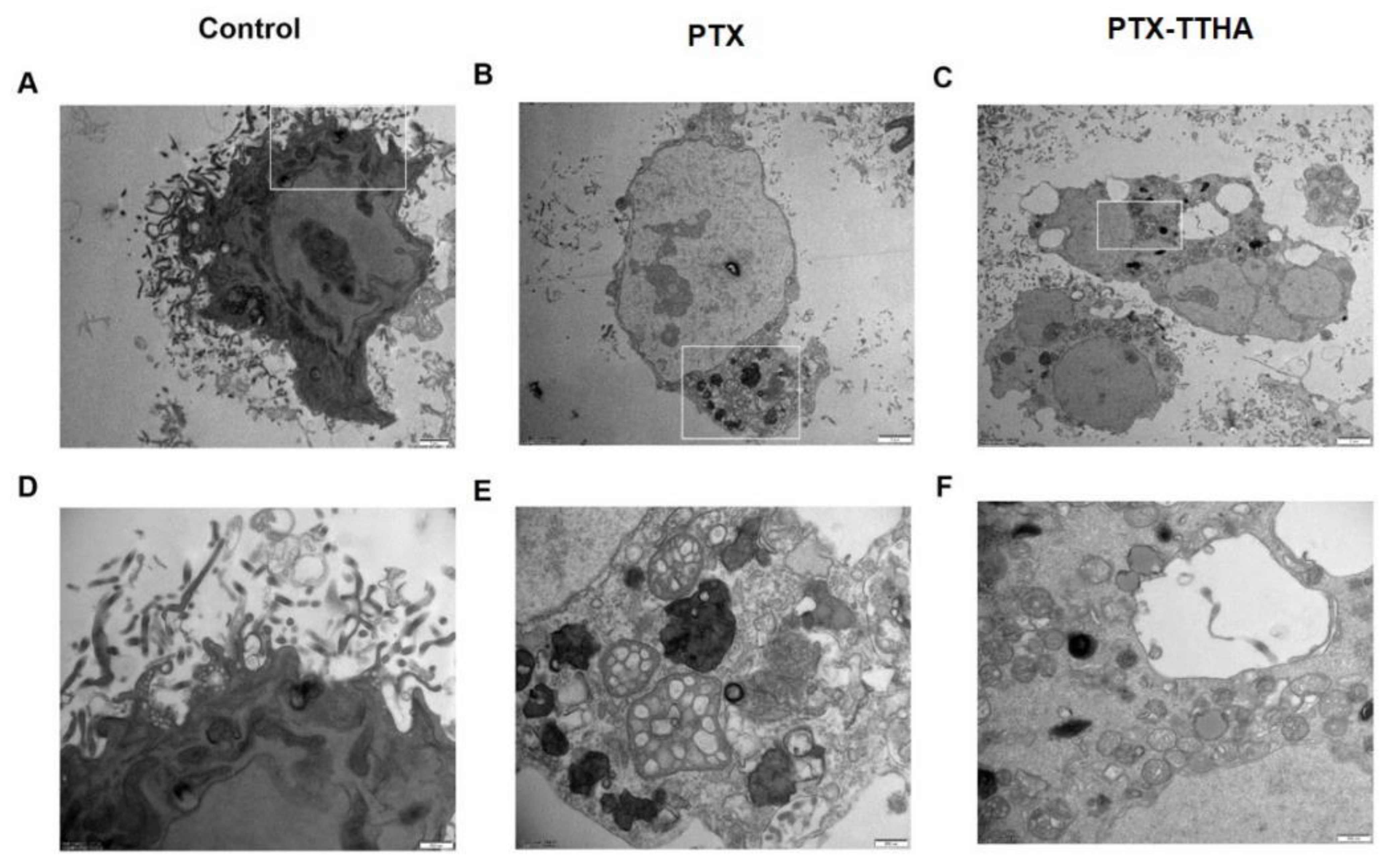 Molecules 28 03662 g003