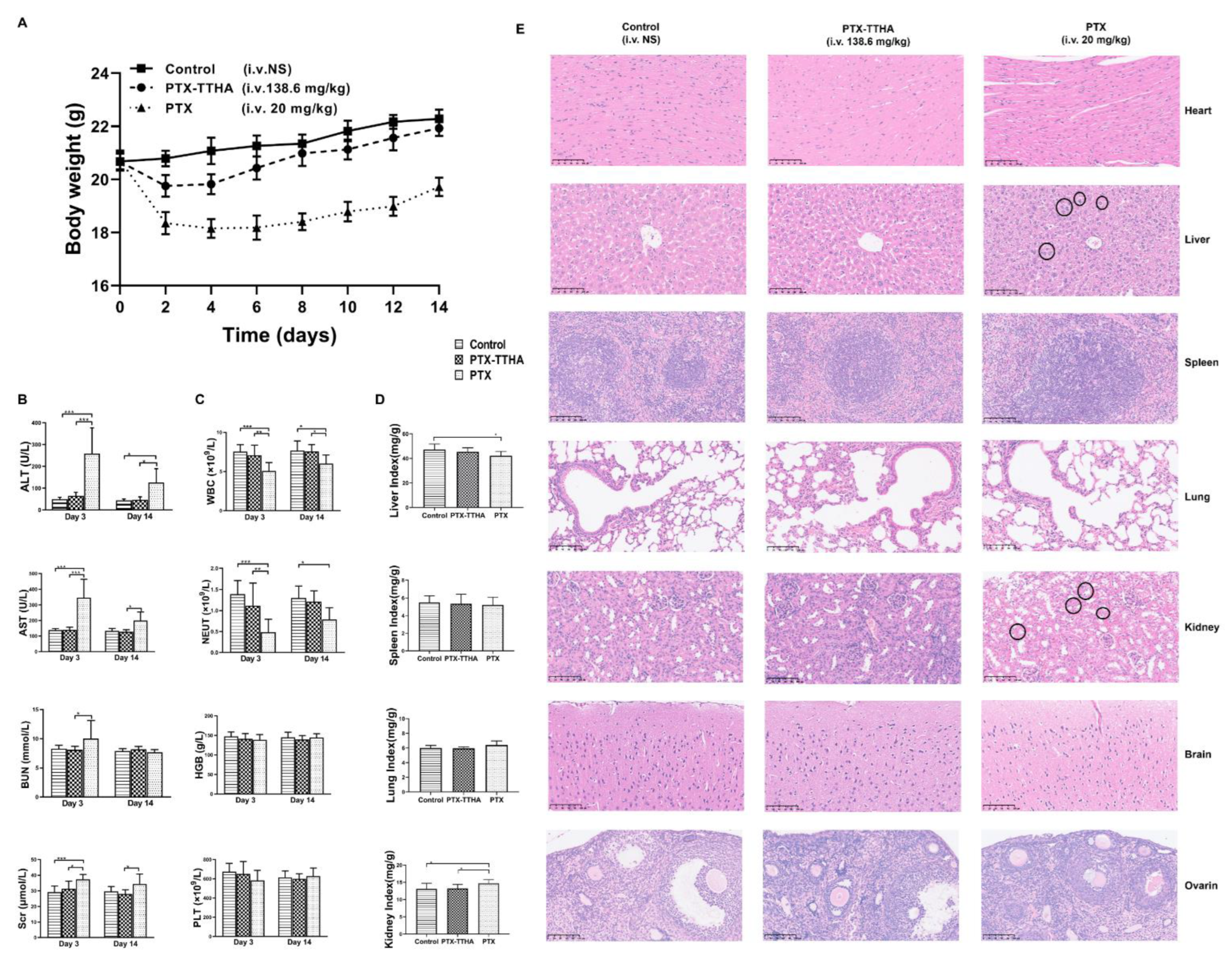 Molecules 28 03662 g007